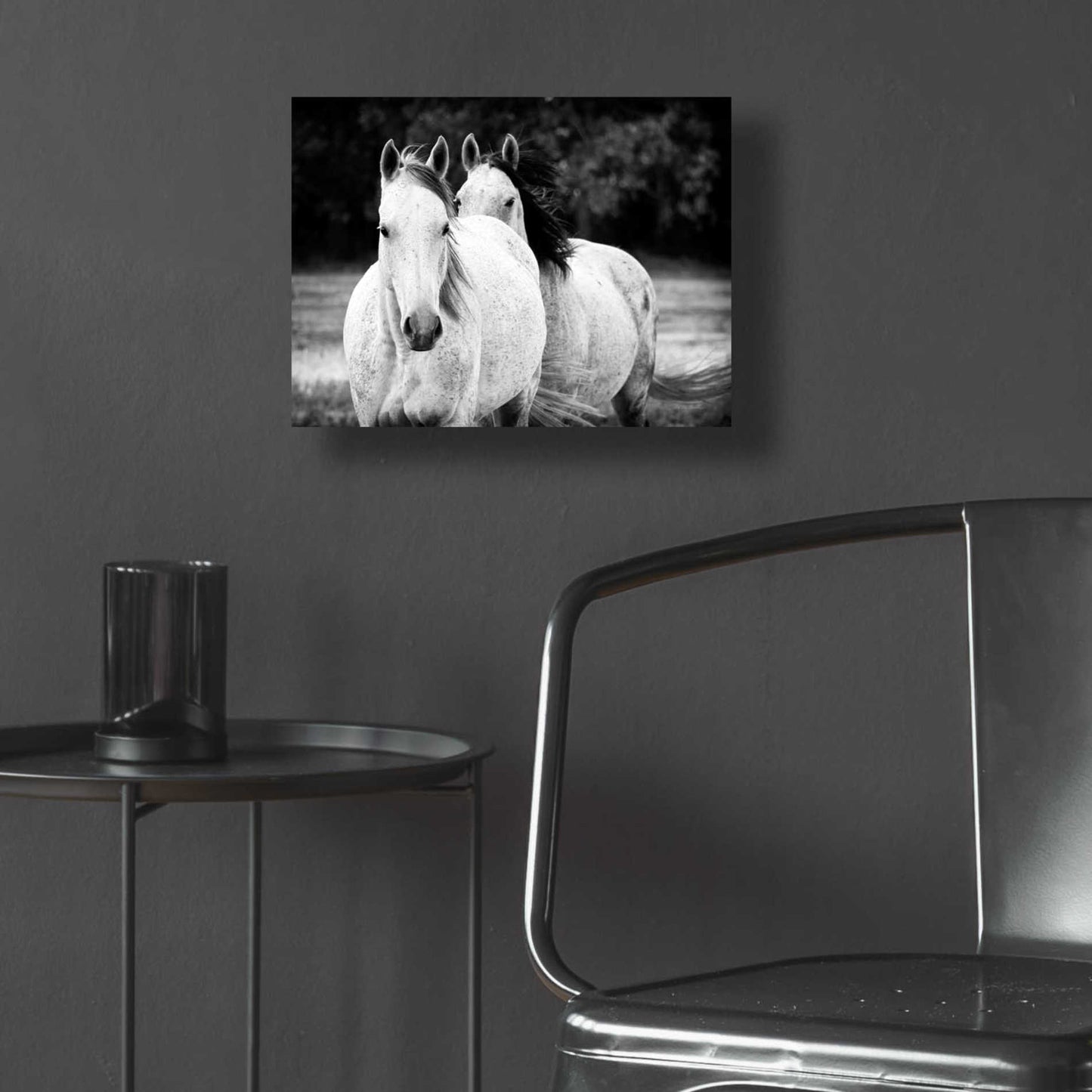 Epic Art 'Two Wild Horses BW' by Debra Van Swearingen, Acrylic Glass Wall Art,16x12