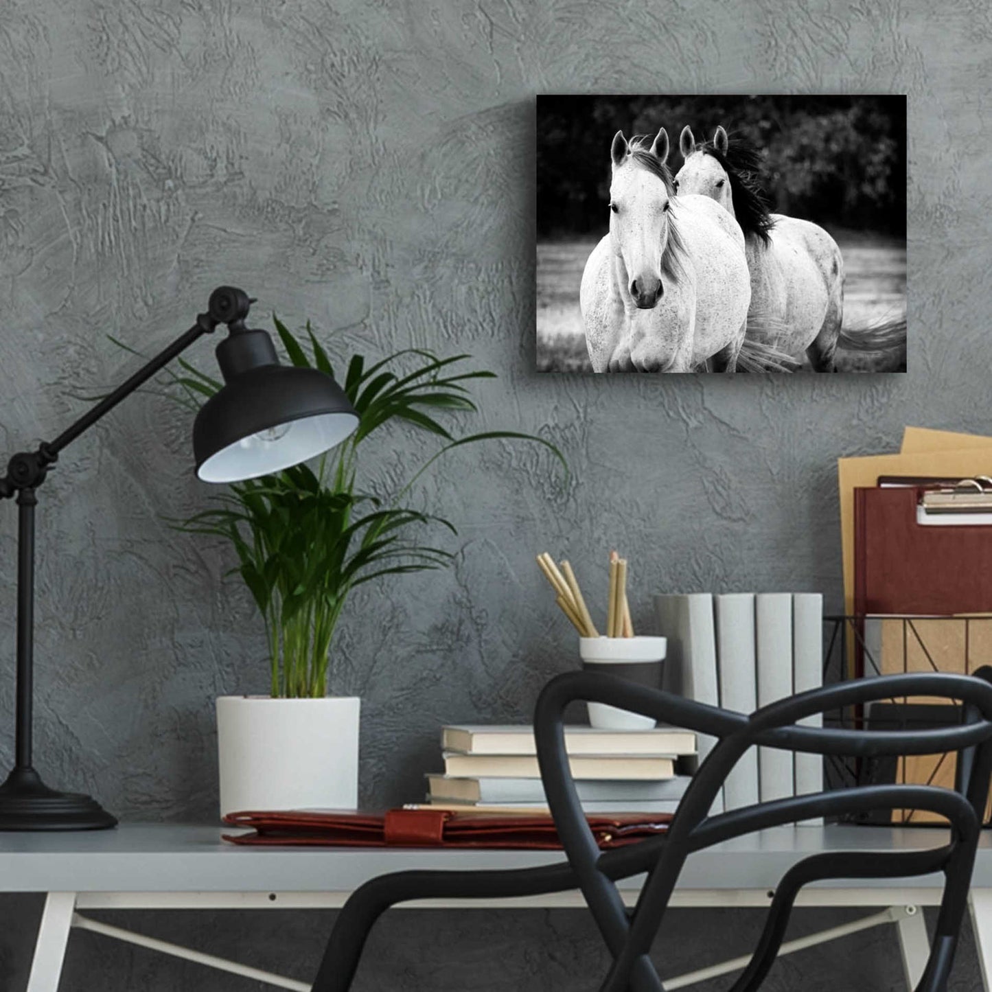 Epic Art 'Two Wild Horses BW' by Debra Van Swearingen, Acrylic Glass Wall Art,16x12