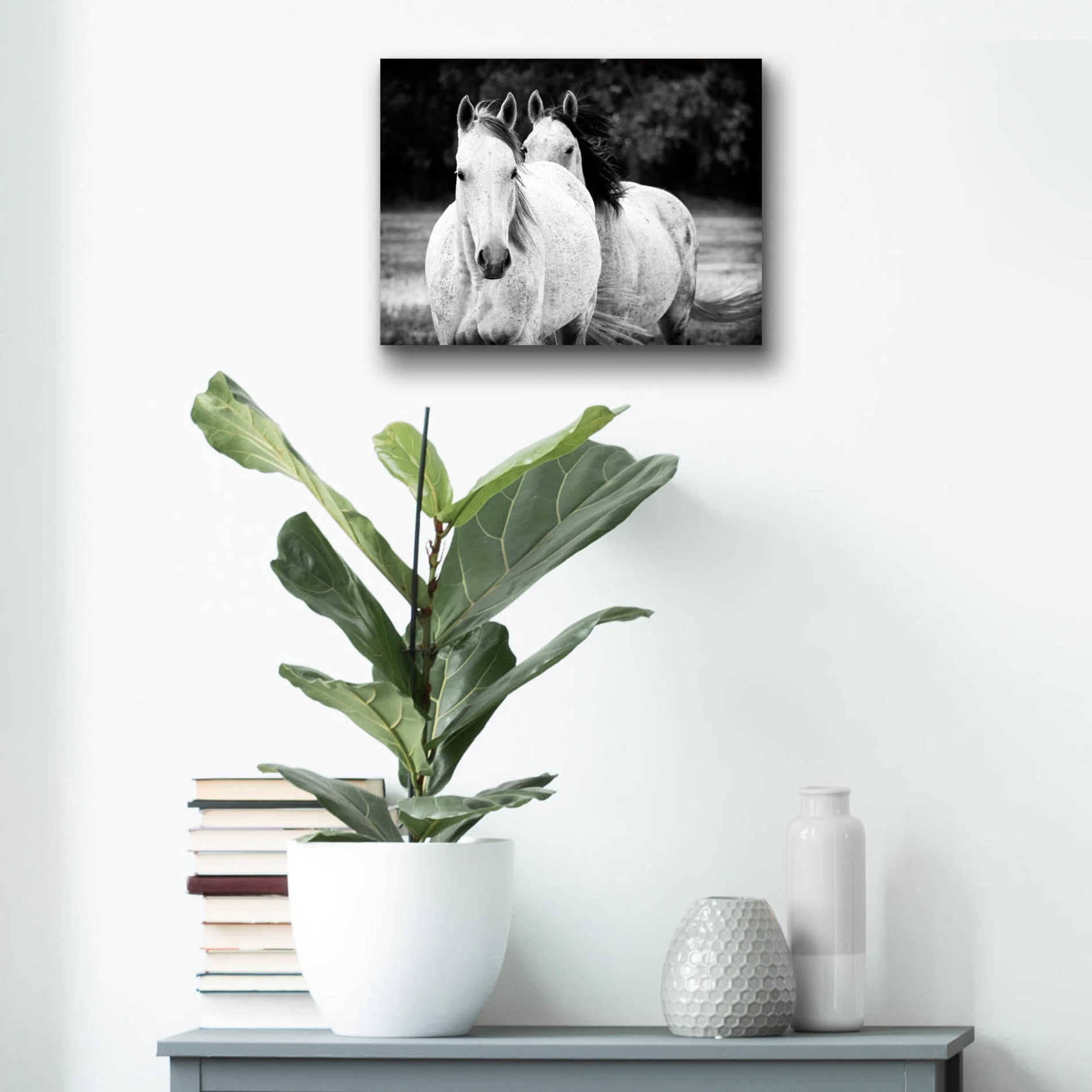 Epic Art 'Two Wild Horses BW' by Debra Van Swearingen, Acrylic Glass Wall Art,16x12