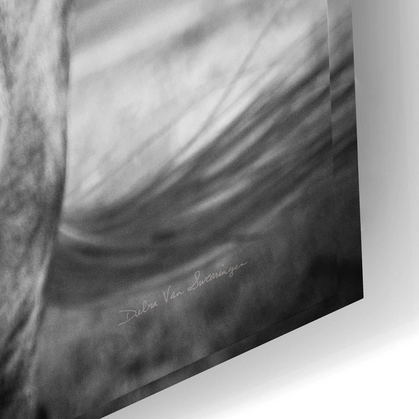 Epic Art 'Two Wild Horses BW' by Debra Van Swearingen, Acrylic Glass Wall Art,24x16