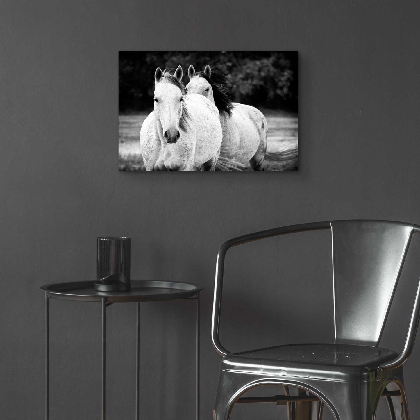 Epic Art 'Two Wild Horses BW' by Debra Van Swearingen, Acrylic Glass Wall Art,24x16