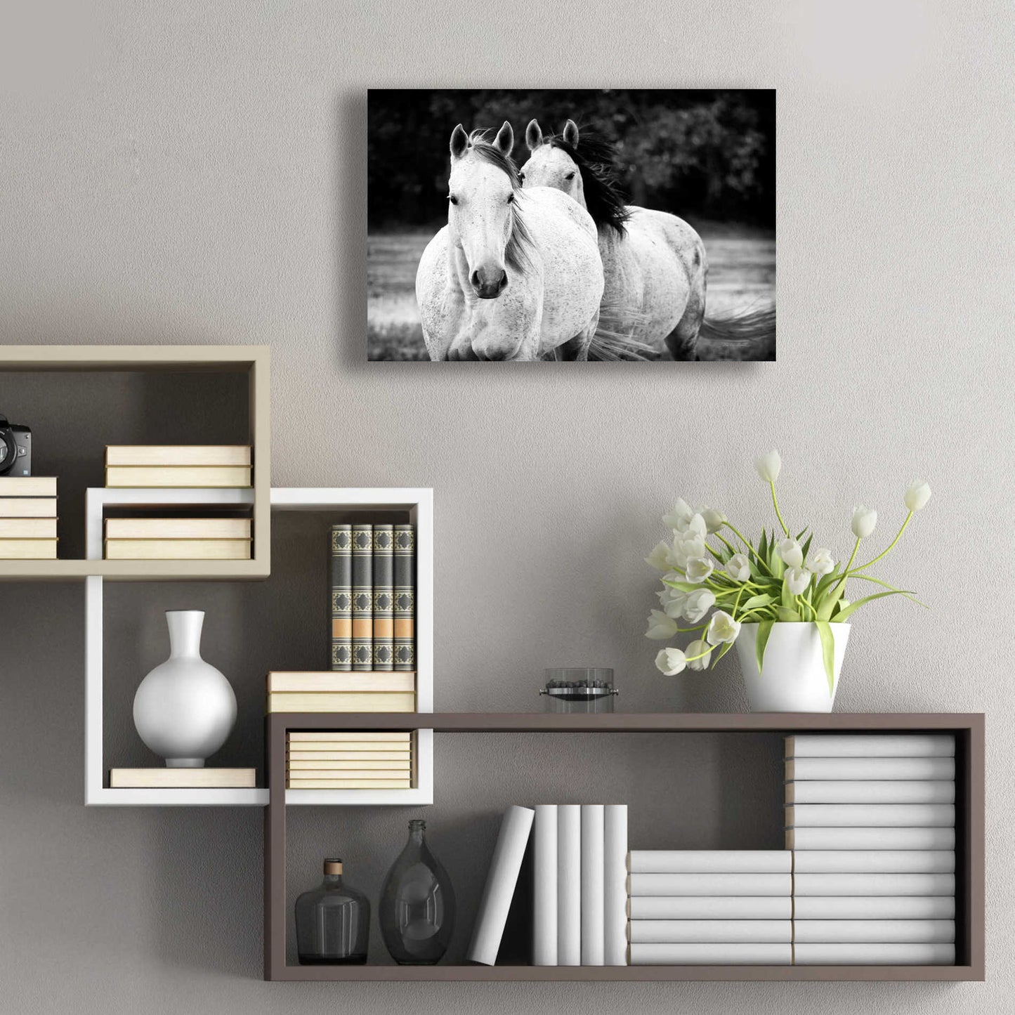 Epic Art 'Two Wild Horses BW' by Debra Van Swearingen, Acrylic Glass Wall Art,24x16