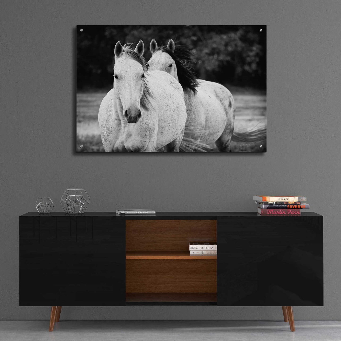 Epic Art 'Two Wild Horses BW' by Debra Van Swearingen, Acrylic Glass Wall Art,36x24