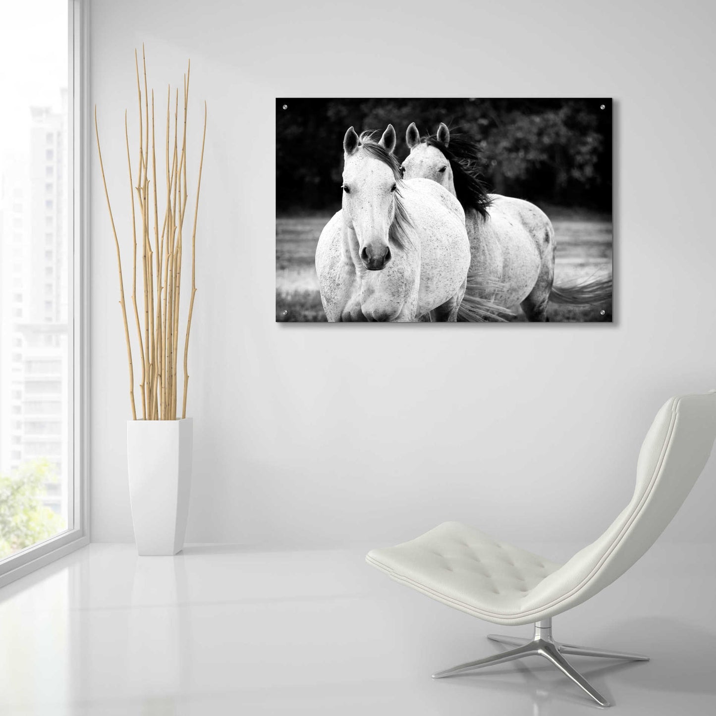 Epic Art 'Two Wild Horses BW' by Debra Van Swearingen, Acrylic Glass Wall Art,36x24