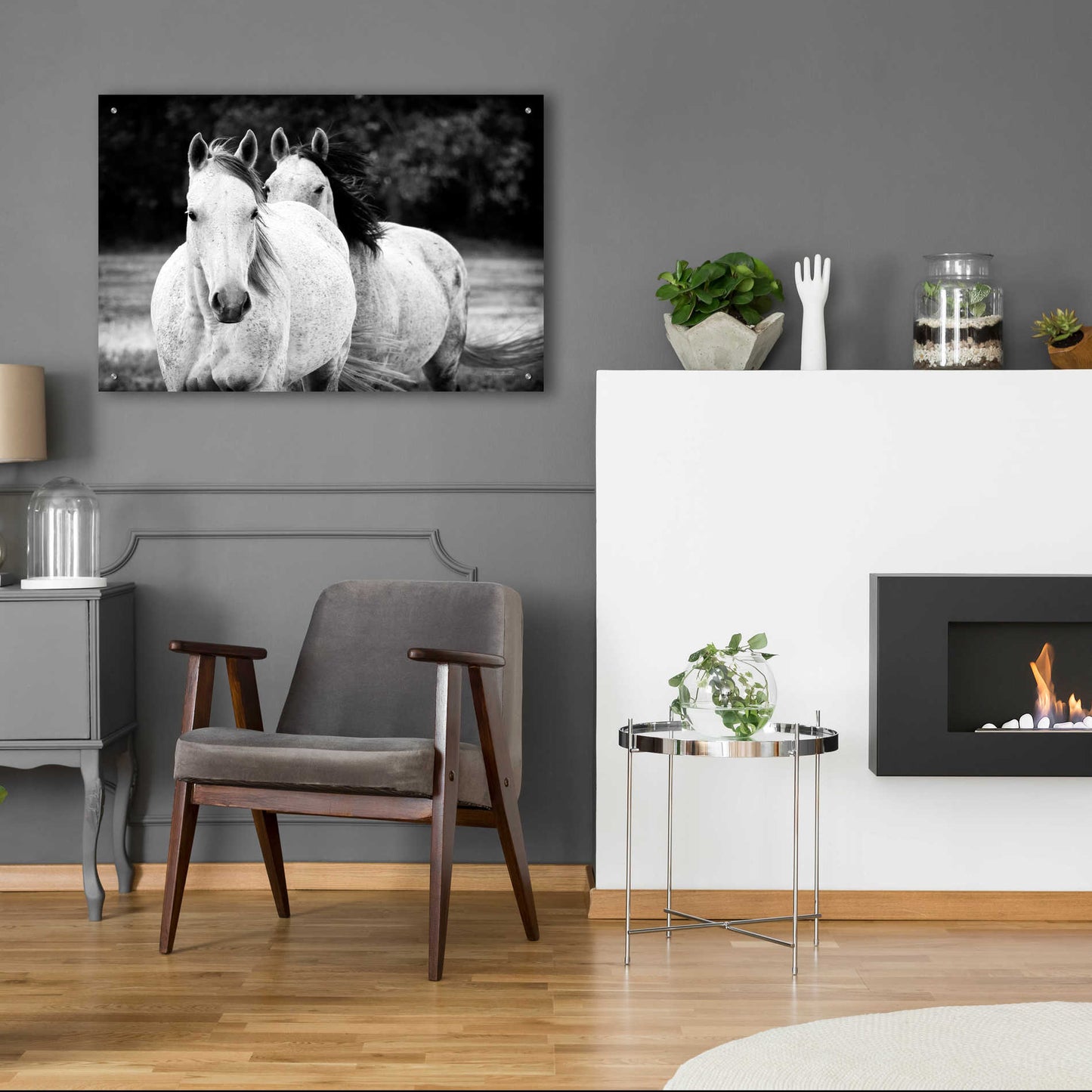 Epic Art 'Two Wild Horses BW' by Debra Van Swearingen, Acrylic Glass Wall Art,36x24