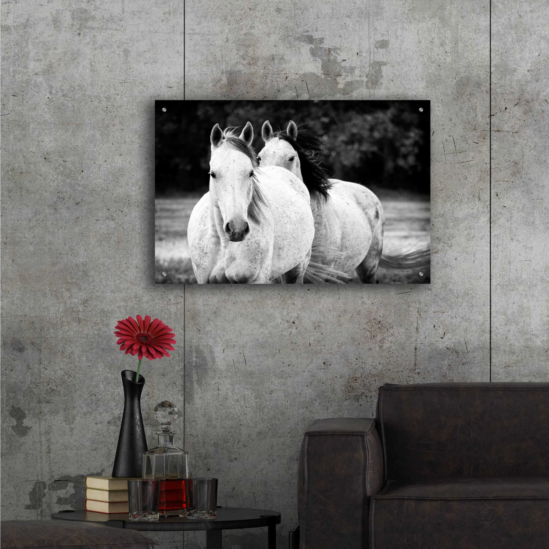 Epic Art 'Two Wild Horses BW' by Debra Van Swearingen, Acrylic Glass Wall Art,36x24