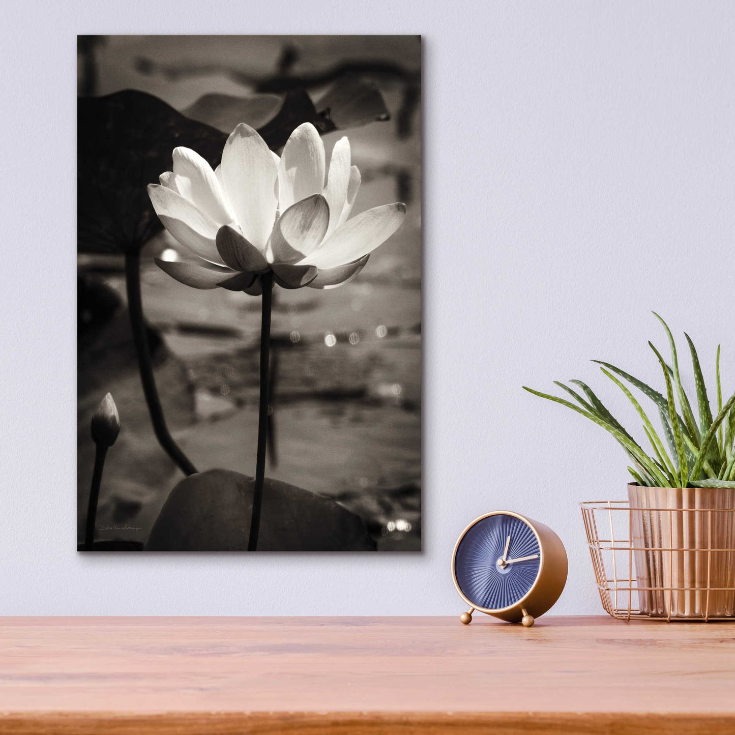 Epic Art 'Lotus Flower IX' by Debra Van Swearingen, Acrylic Glass Wall Art,12x16