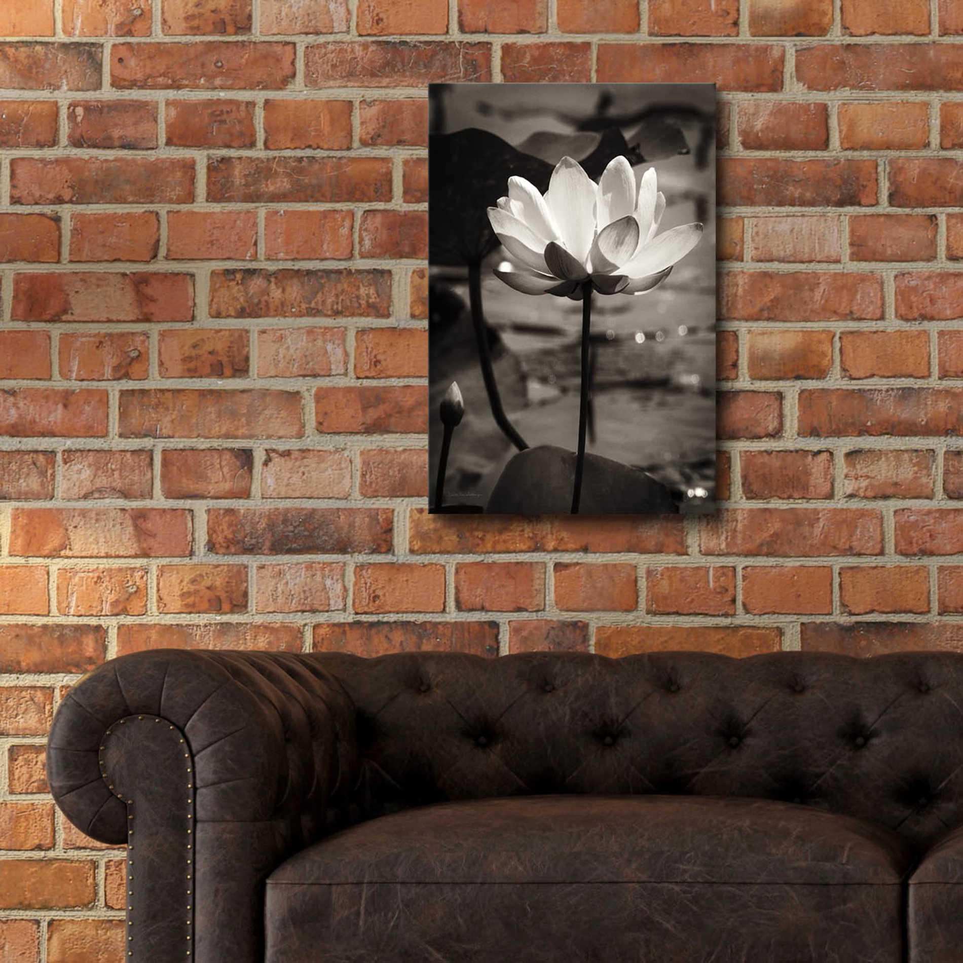 Epic Art 'Lotus Flower IX' by Debra Van Swearingen, Acrylic Glass Wall Art,16x24