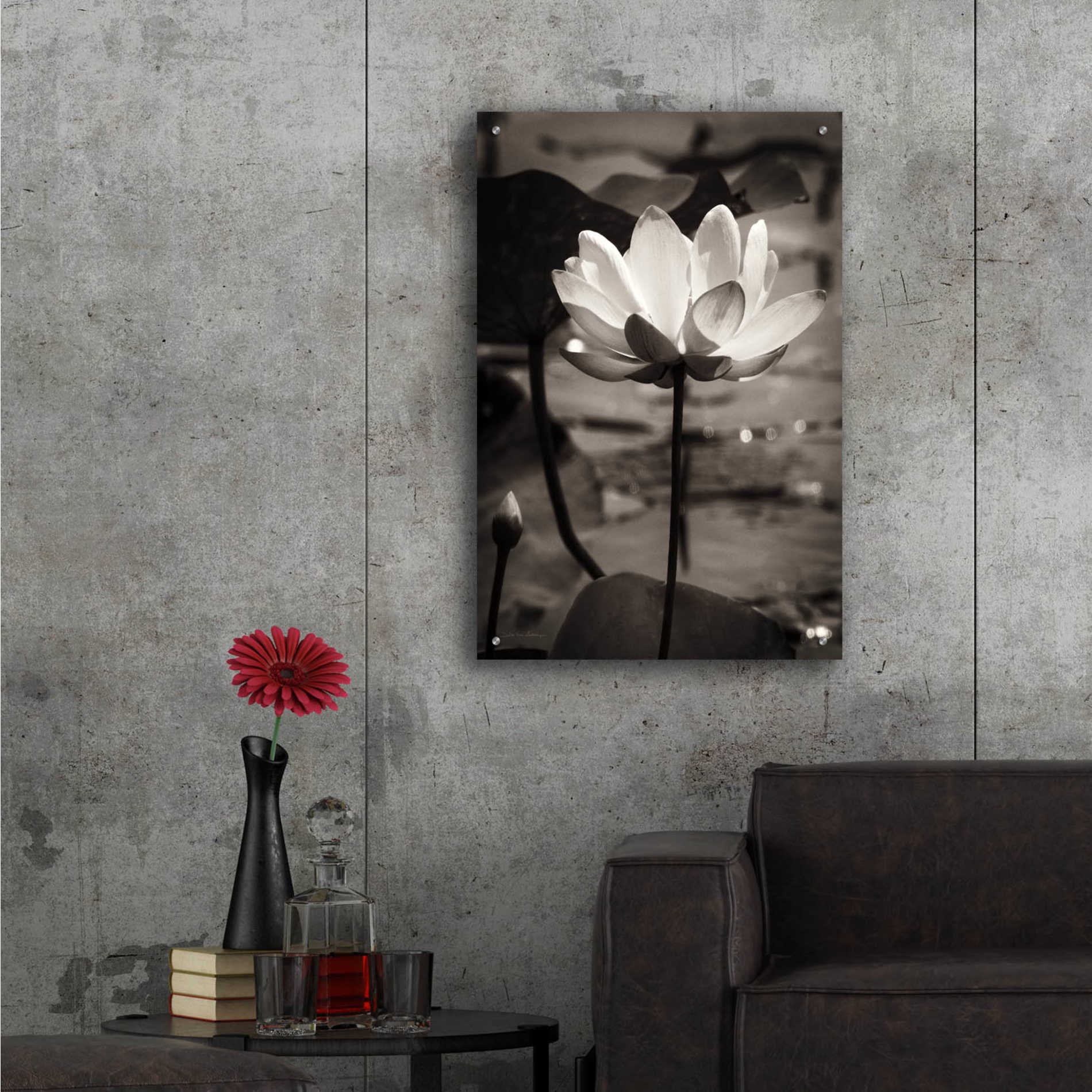 Epic Art 'Lotus Flower IX' by Debra Van Swearingen, Acrylic Glass Wall Art,24x36