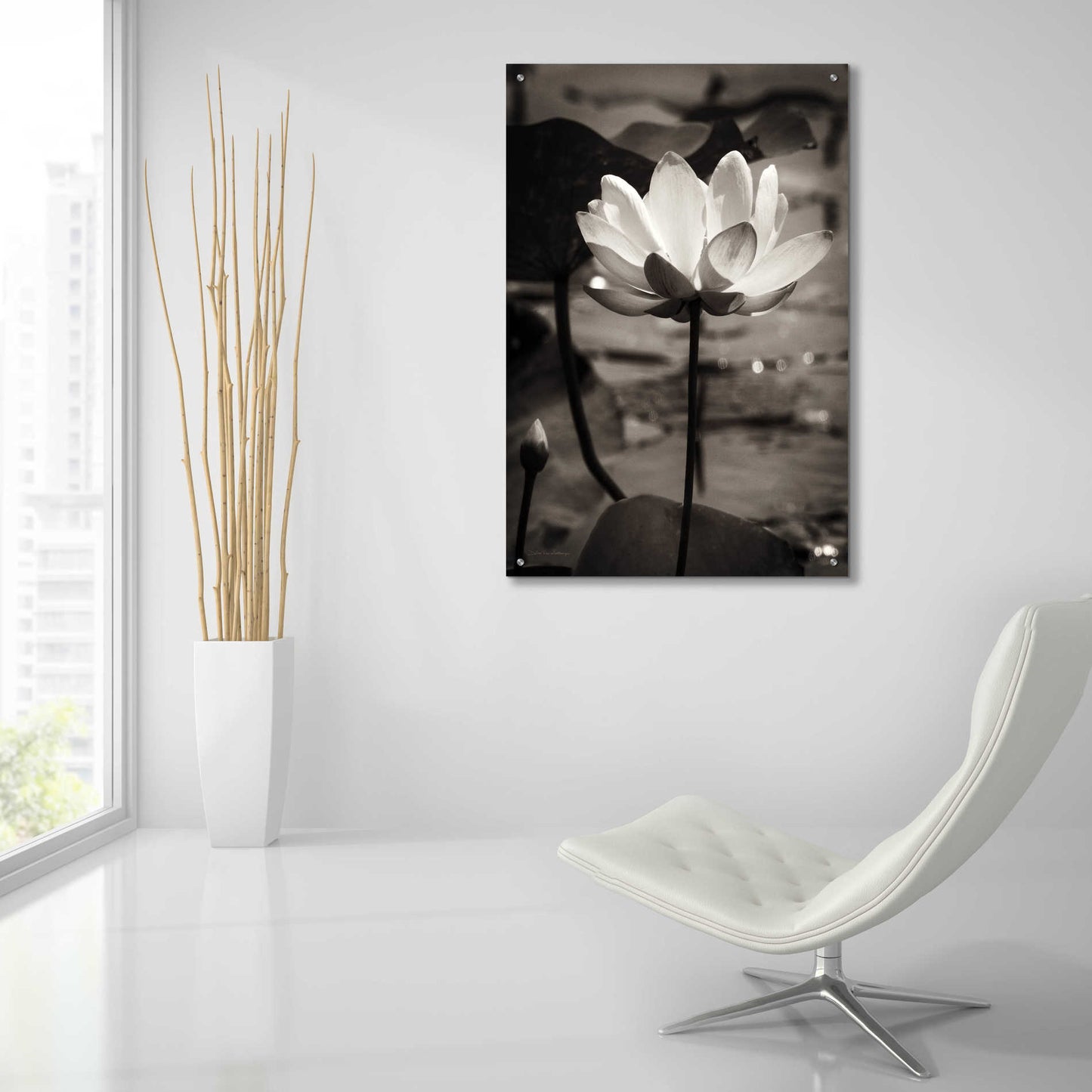 Epic Art 'Lotus Flower IX' by Debra Van Swearingen, Acrylic Glass Wall Art,24x36