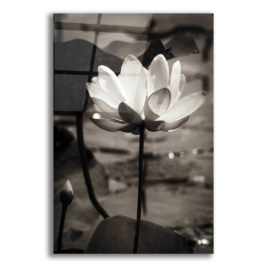 Epic Art 'Lotus Flower IX' by Debra Van Swearingen, Acrylic Glass Wall Art