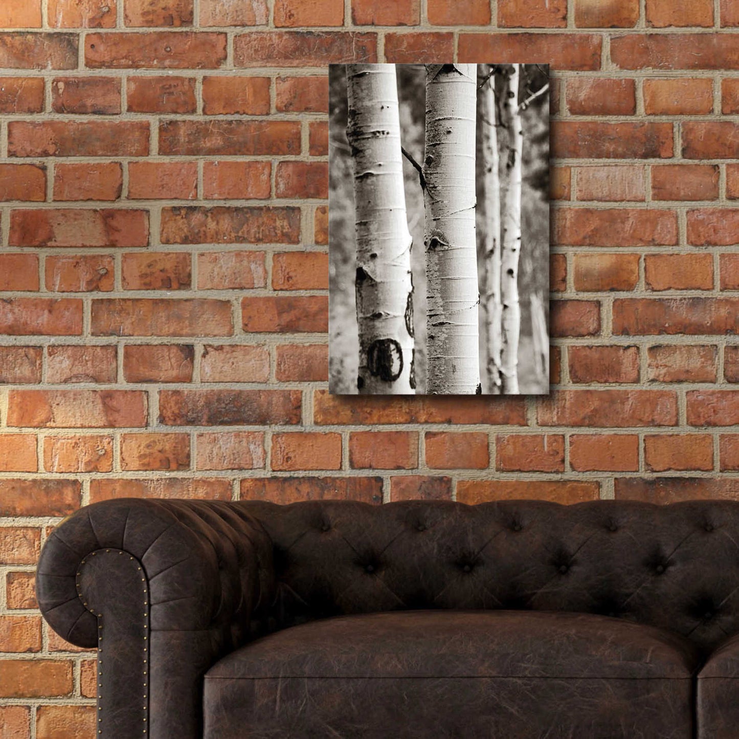 Epic Art 'Aspens I' by Debra Van Swearingen, Acrylic Glass Wall Art,16x24