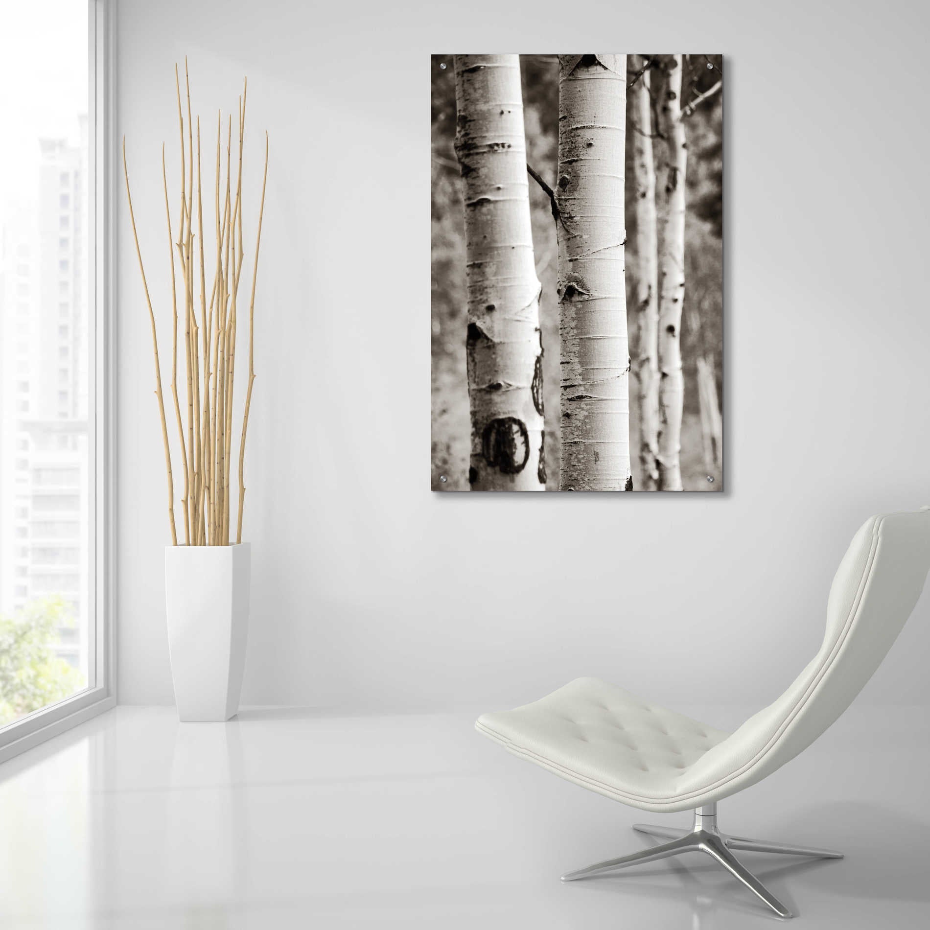 Epic Art 'Aspens I' by Debra Van Swearingen, Acrylic Glass Wall Art,24x36