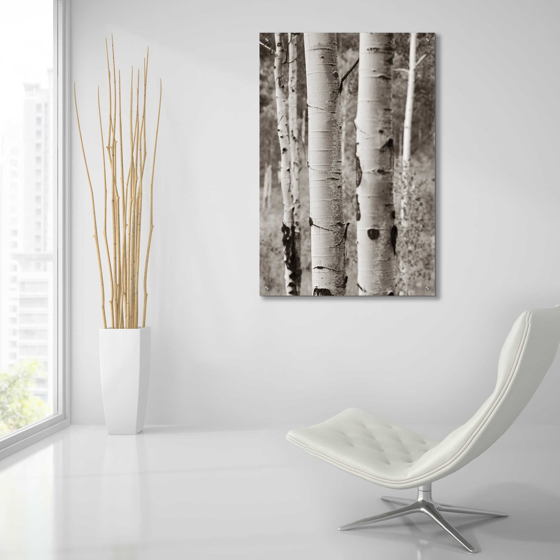 Epic Art 'Aspens II' by Debra Van Swearingen, Acrylic Glass Wall Art,24x36