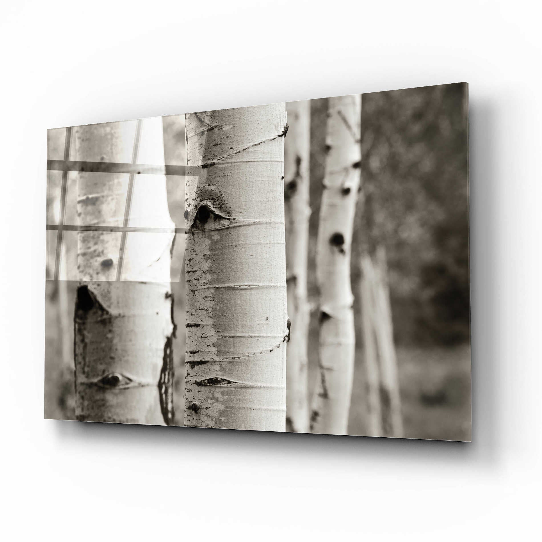 Epic Art 'Aspens III' by Debra Van Swearingen, Acrylic Glass Wall Art,16x12