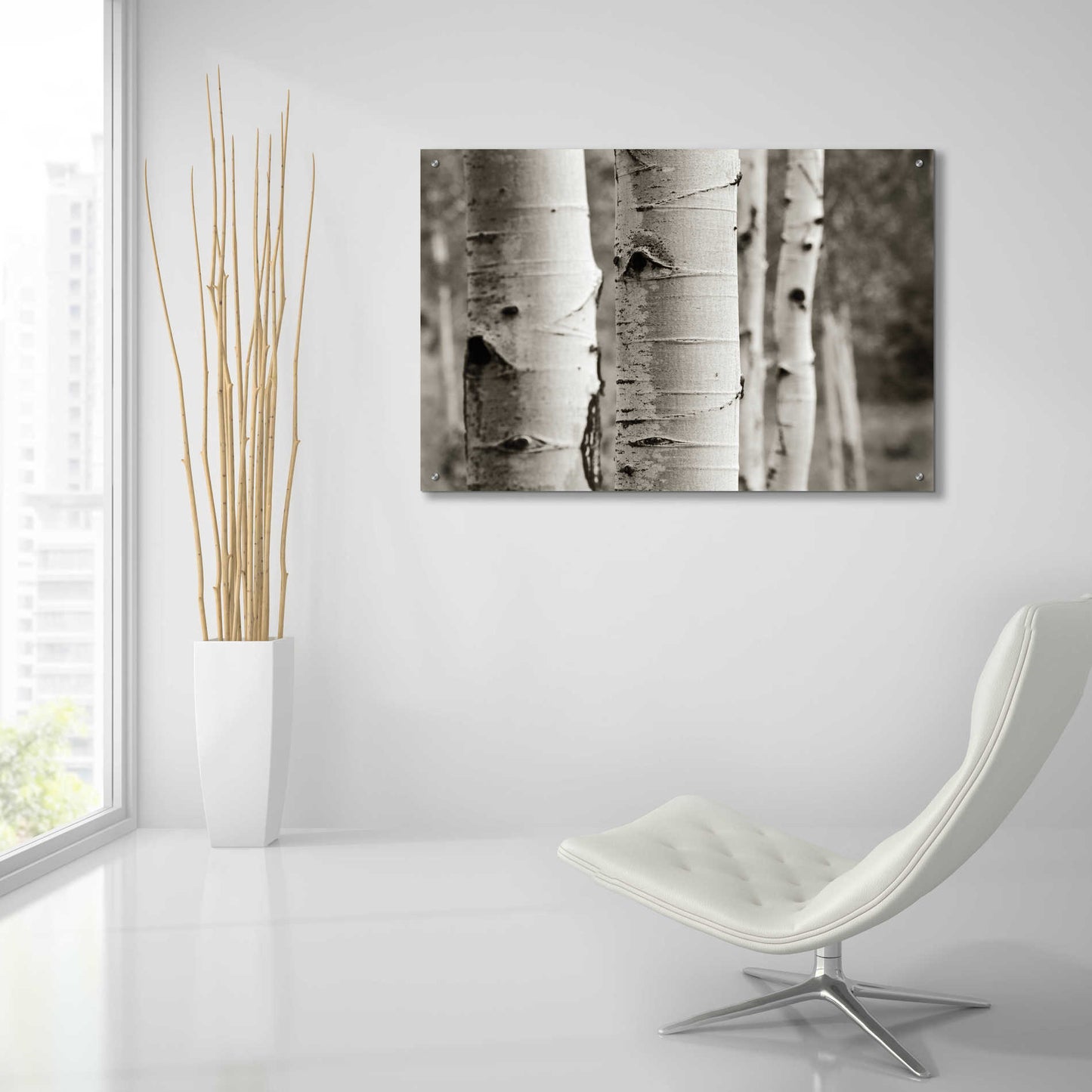 Epic Art 'Aspens III' by Debra Van Swearingen, Acrylic Glass Wall Art,36x24