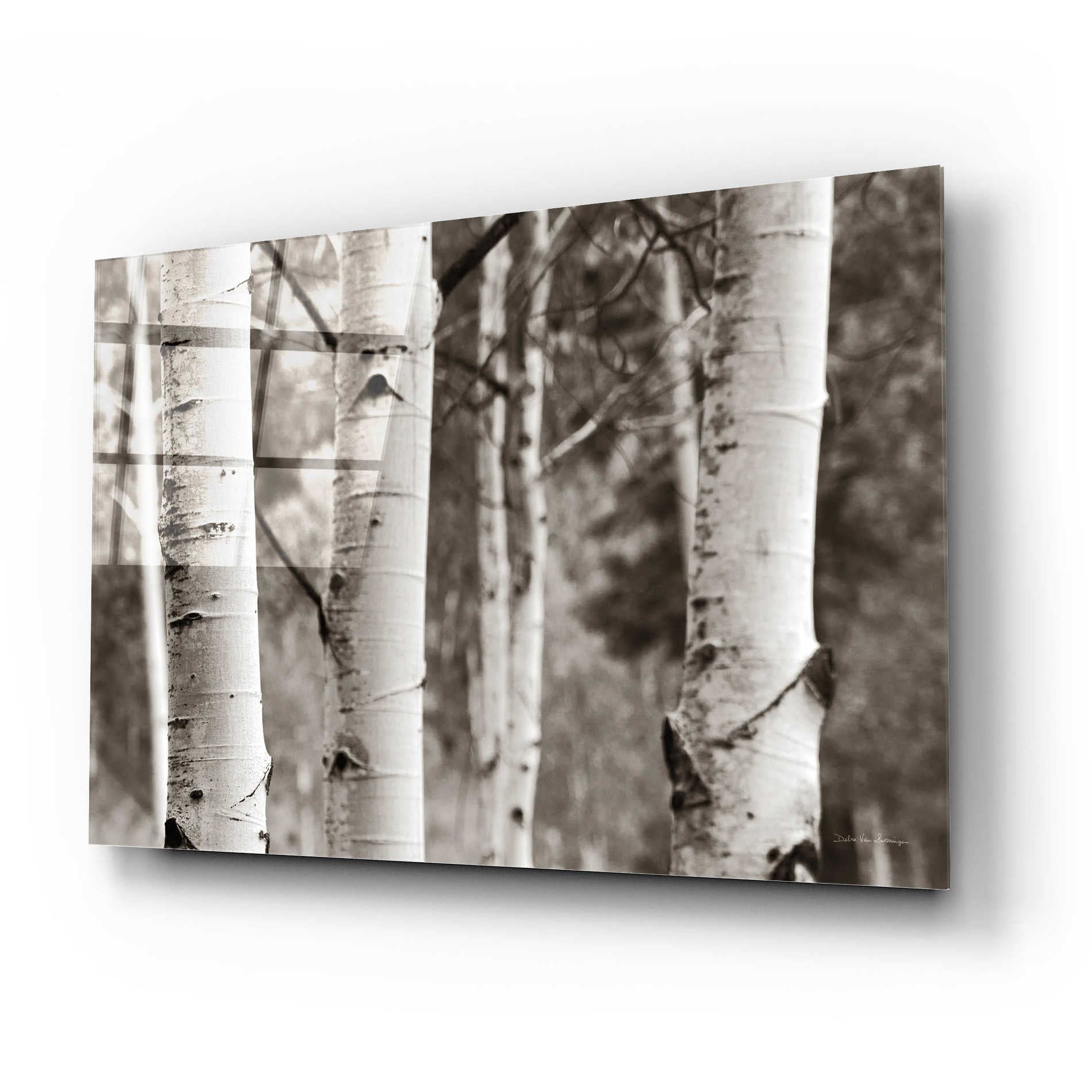 Epic Art 'Aspens IV' by Debra Van Swearingen, Acrylic Glass Wall Art,24x16