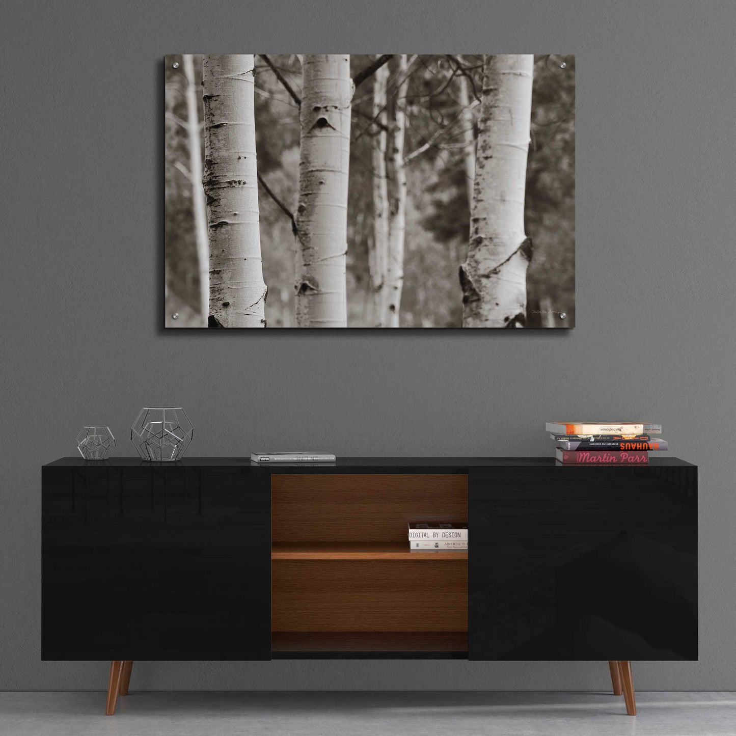 Epic Art 'Aspens IV' by Debra Van Swearingen, Acrylic Glass Wall Art,36x24