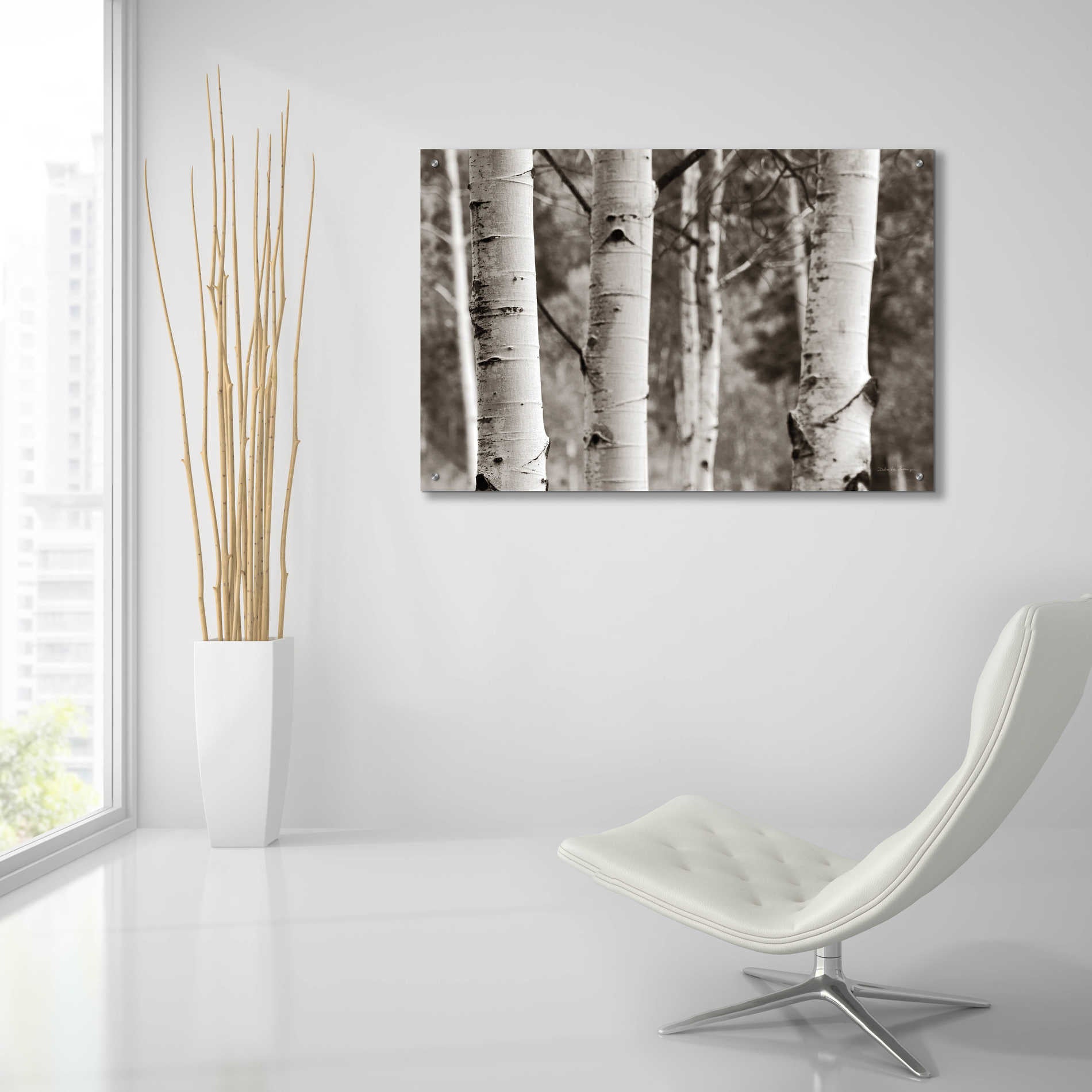 Epic Art 'Aspens IV' by Debra Van Swearingen, Acrylic Glass Wall Art,36x24