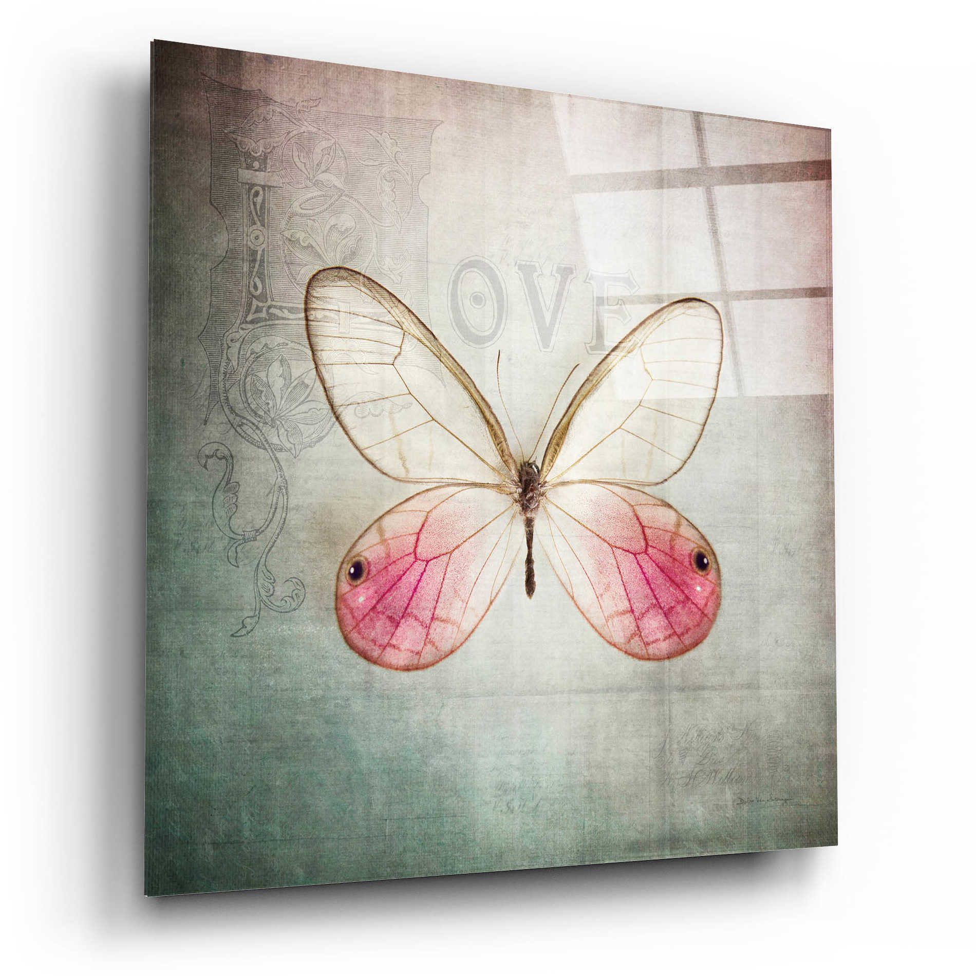 Epic Art 'French Butterfly I' by Debra Van Swearingen, Acrylic Glass Wall Art,12x12