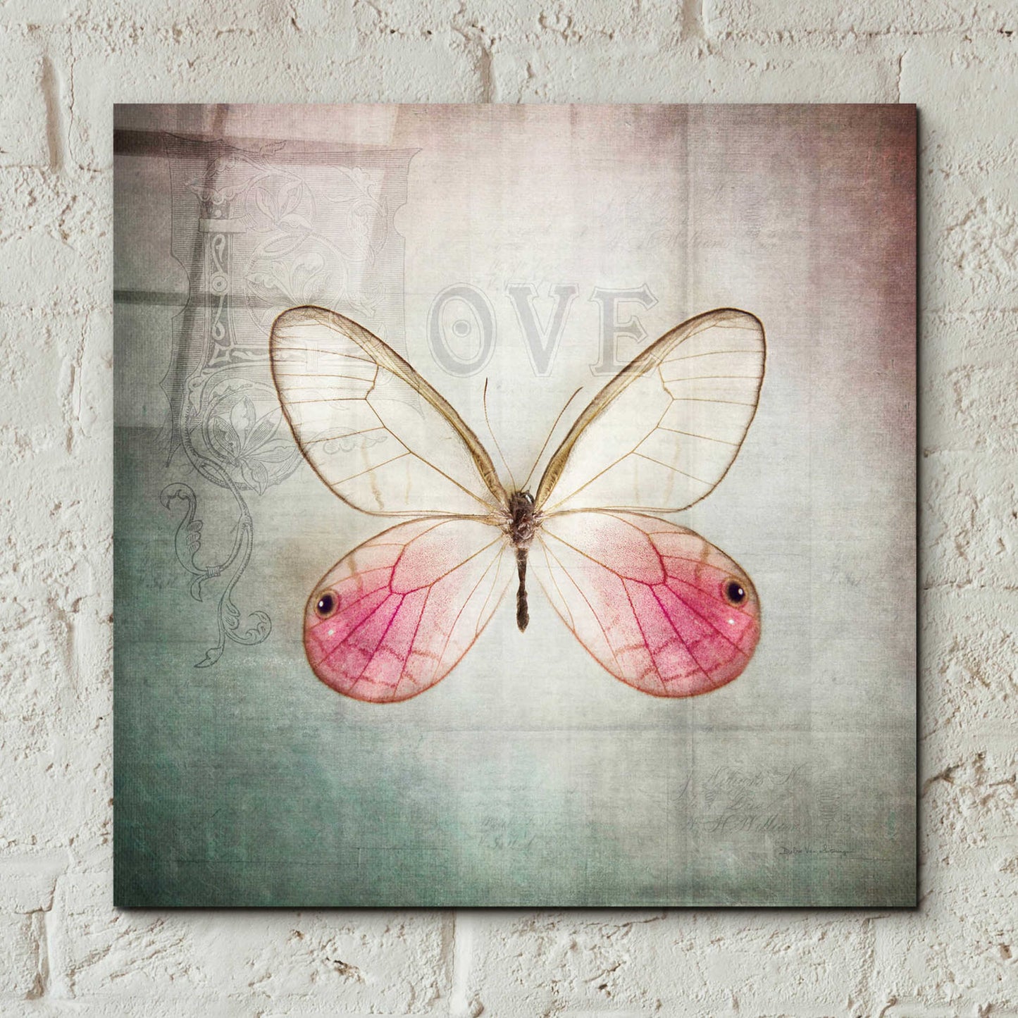 Epic Art 'French Butterfly I' by Debra Van Swearingen, Acrylic Glass Wall Art,12x12