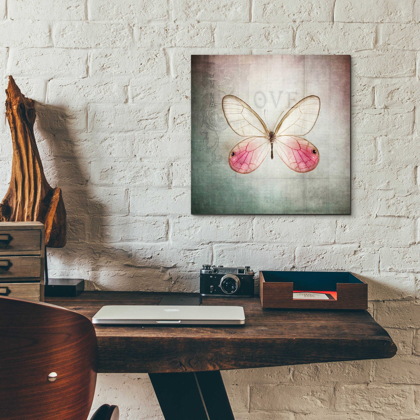 Epic Art 'French Butterfly I' by Debra Van Swearingen, Acrylic Glass Wall Art,12x12