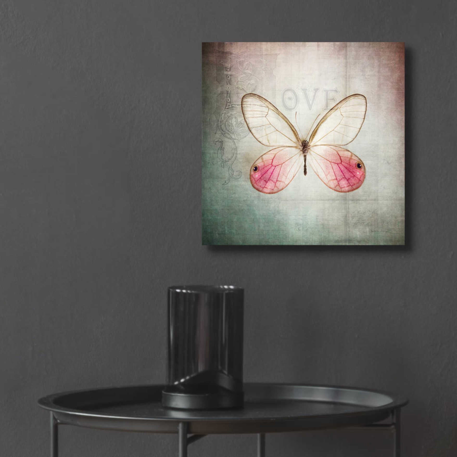 Epic Art 'French Butterfly I' by Debra Van Swearingen, Acrylic Glass Wall Art,12x12