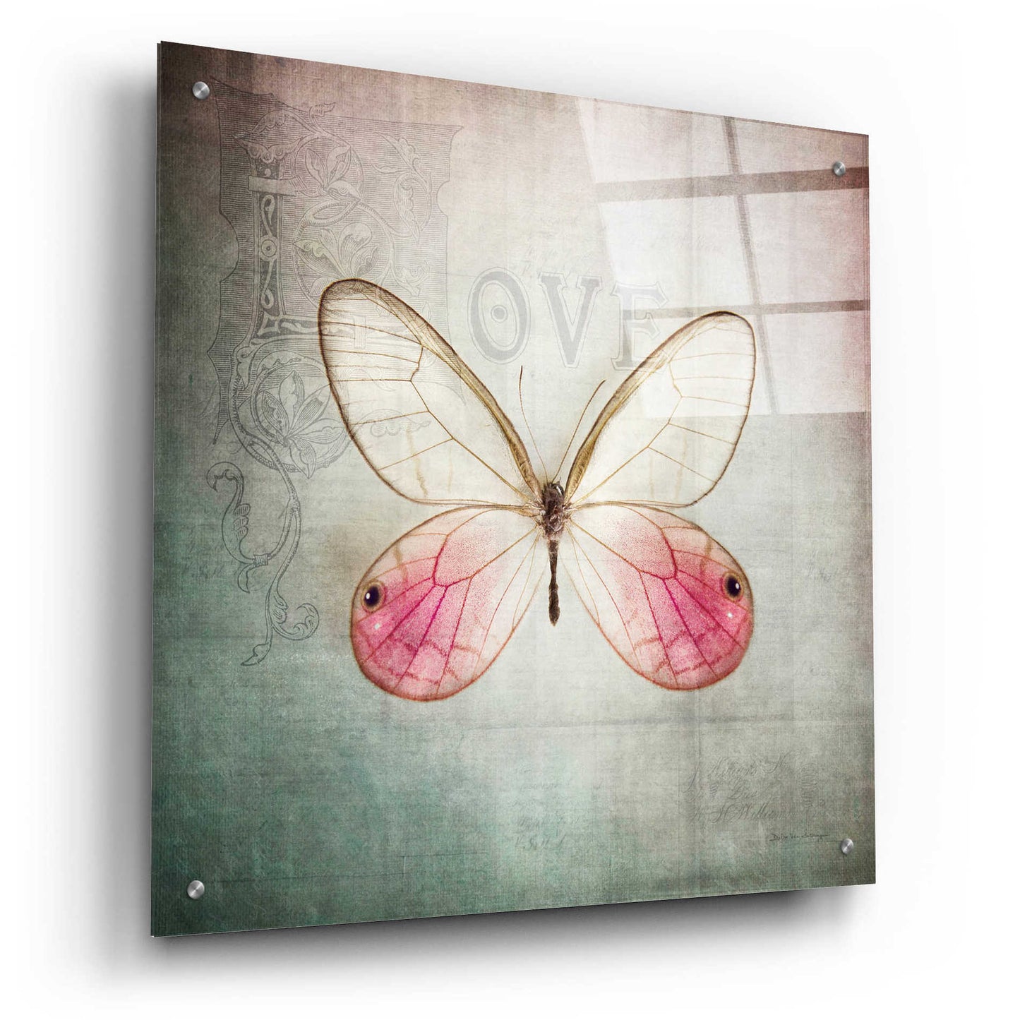 Epic Art 'French Butterfly I' by Debra Van Swearingen, Acrylic Glass Wall Art,24x24