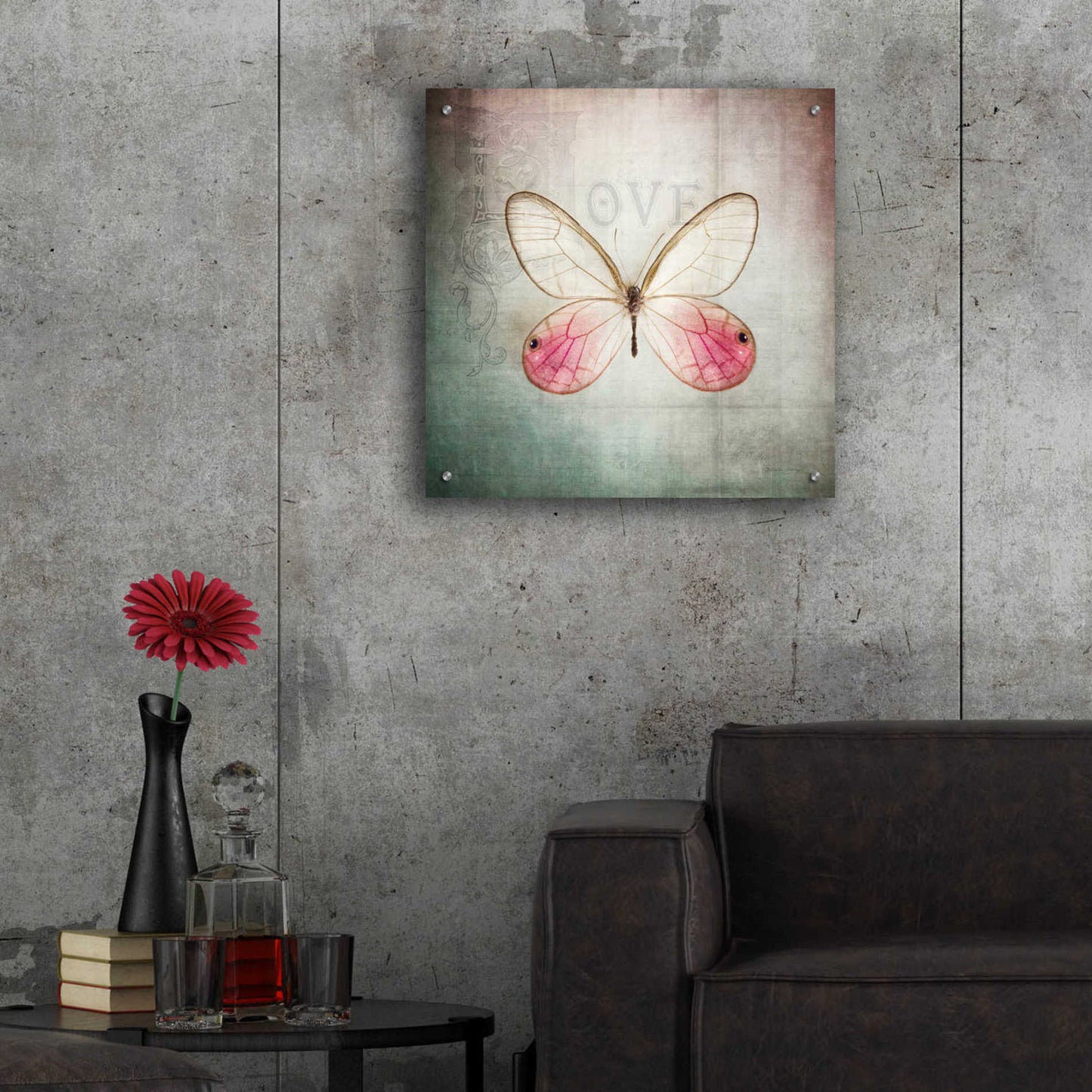 Epic Art 'French Butterfly I' by Debra Van Swearingen, Acrylic Glass Wall Art,24x24