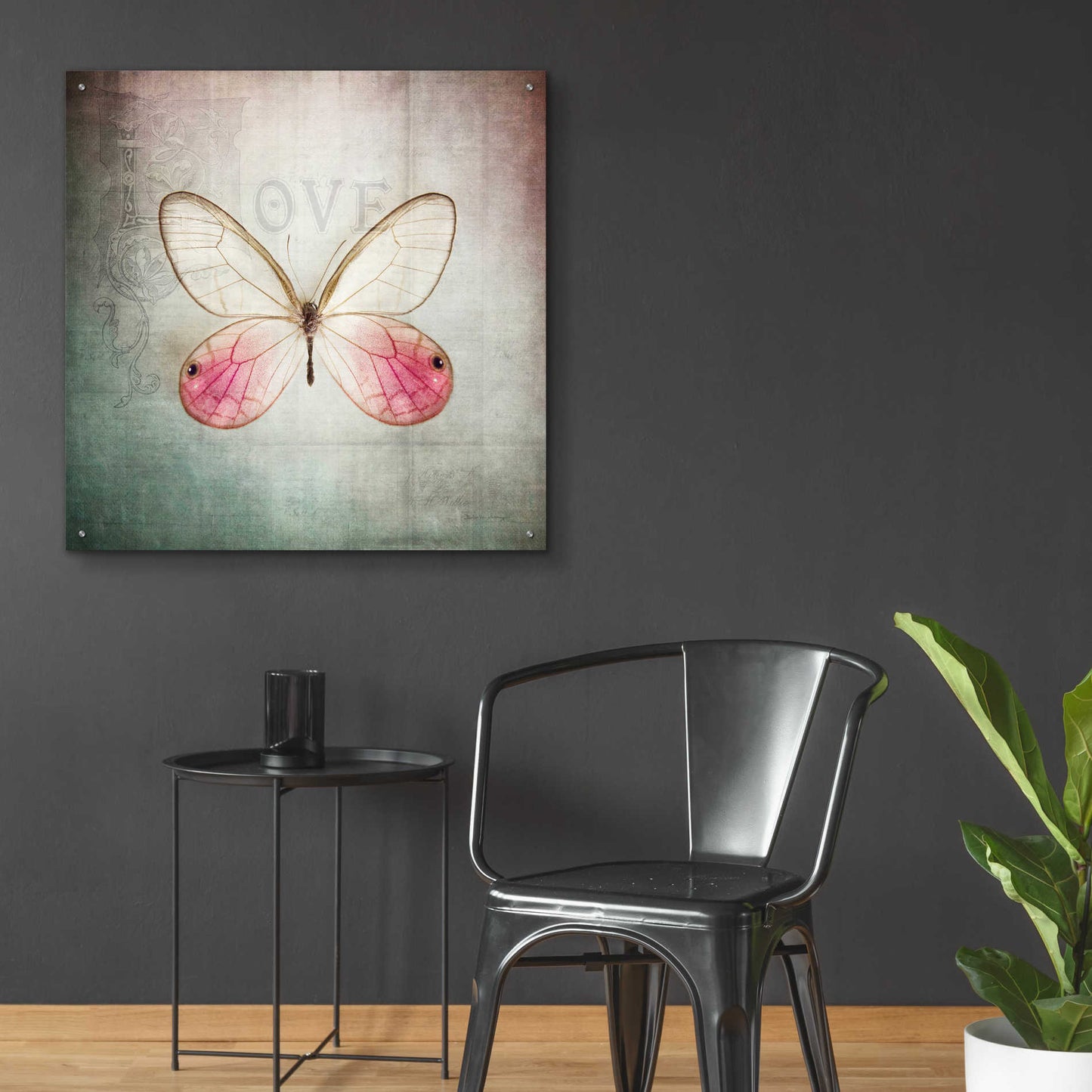 Epic Art 'French Butterfly I' by Debra Van Swearingen, Acrylic Glass Wall Art,36x36