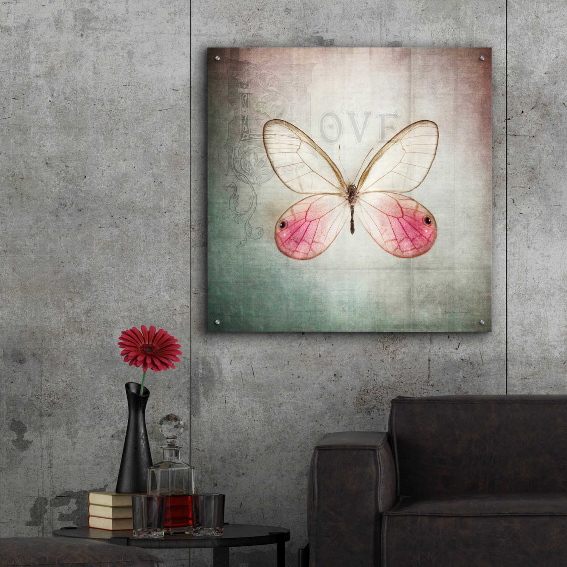 Epic Art 'French Butterfly I' by Debra Van Swearingen, Acrylic Glass Wall Art,36x36