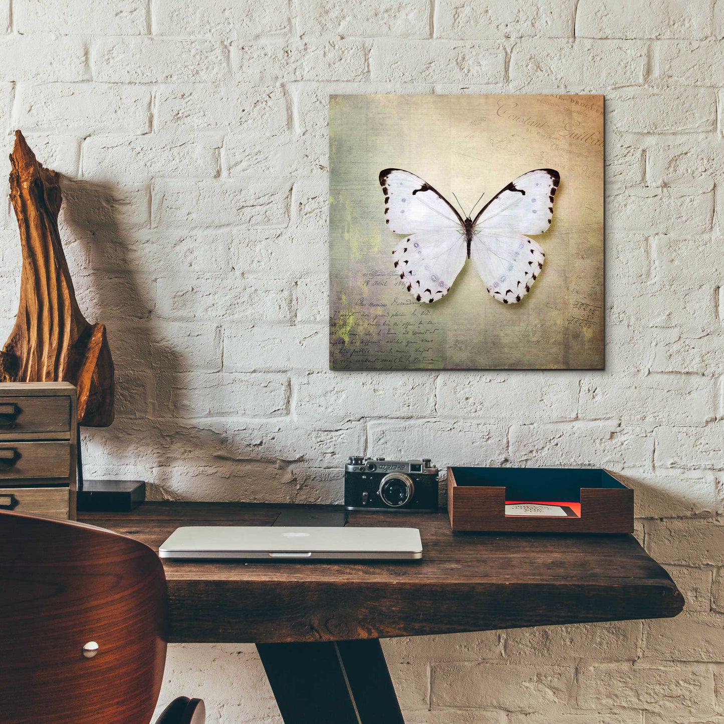 Epic Art 'French Butterfly II' by Debra Van Swearingen, Acrylic Glass Wall Art,12x12