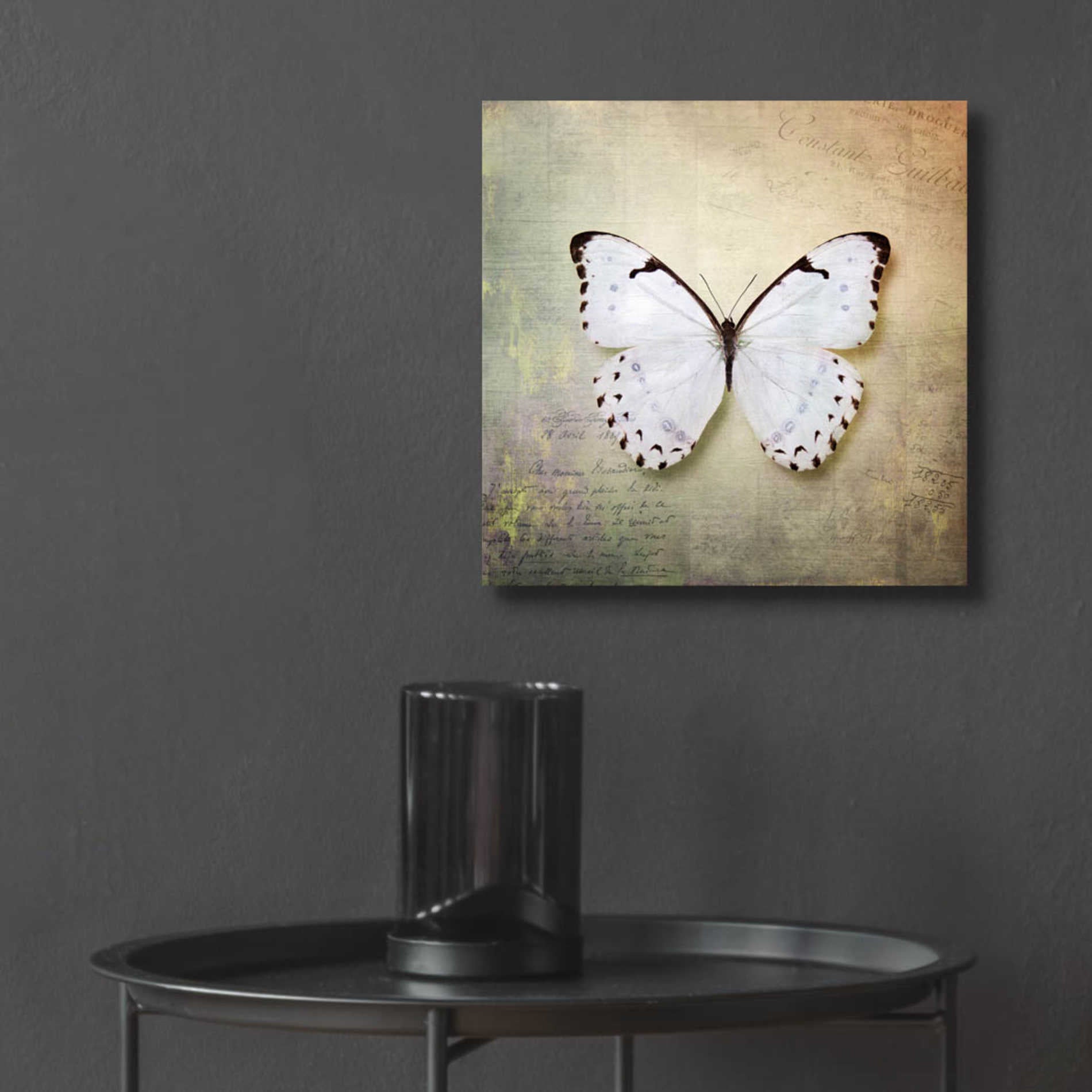 Epic Art 'French Butterfly II' by Debra Van Swearingen, Acrylic Glass Wall Art,12x12