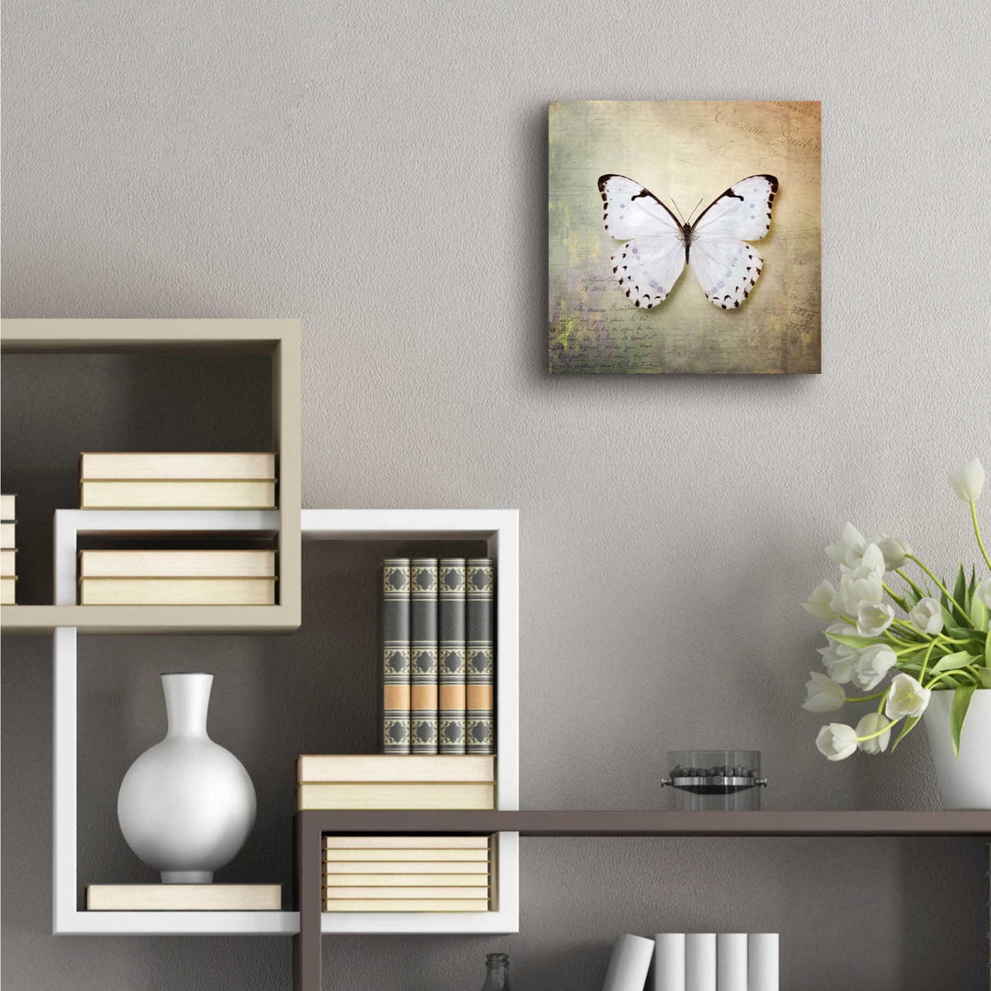 Epic Art 'French Butterfly II' by Debra Van Swearingen, Acrylic Glass Wall Art,12x12