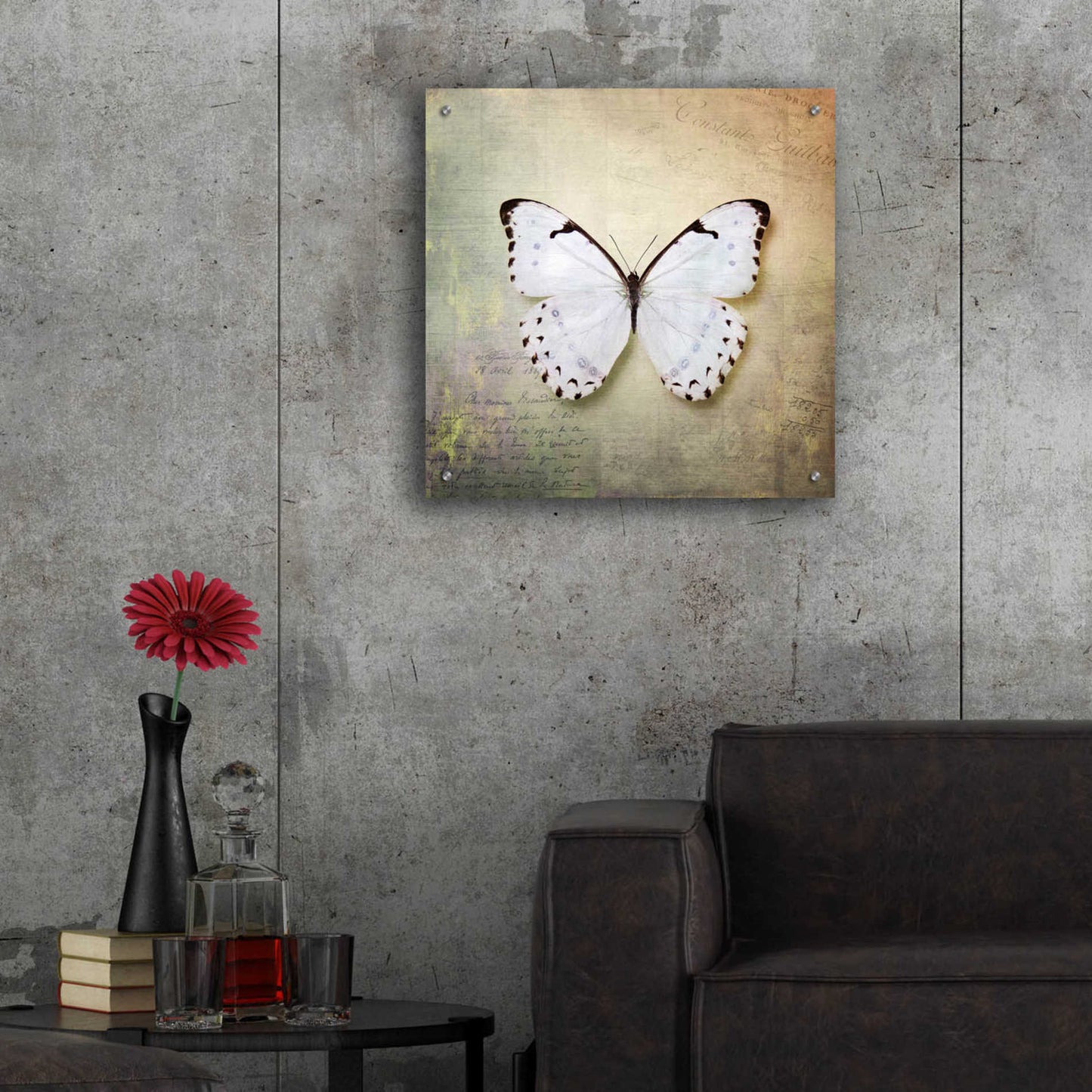 Epic Art 'French Butterfly II' by Debra Van Swearingen, Acrylic Glass Wall Art,24x24