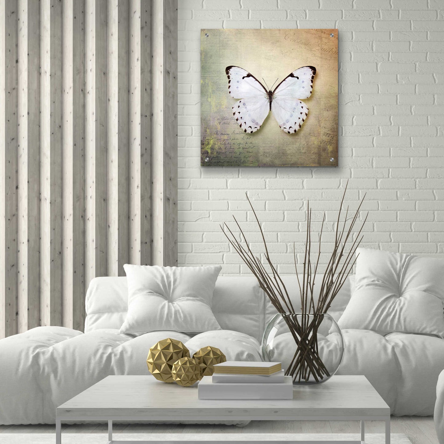 Epic Art 'French Butterfly II' by Debra Van Swearingen, Acrylic Glass Wall Art,24x24