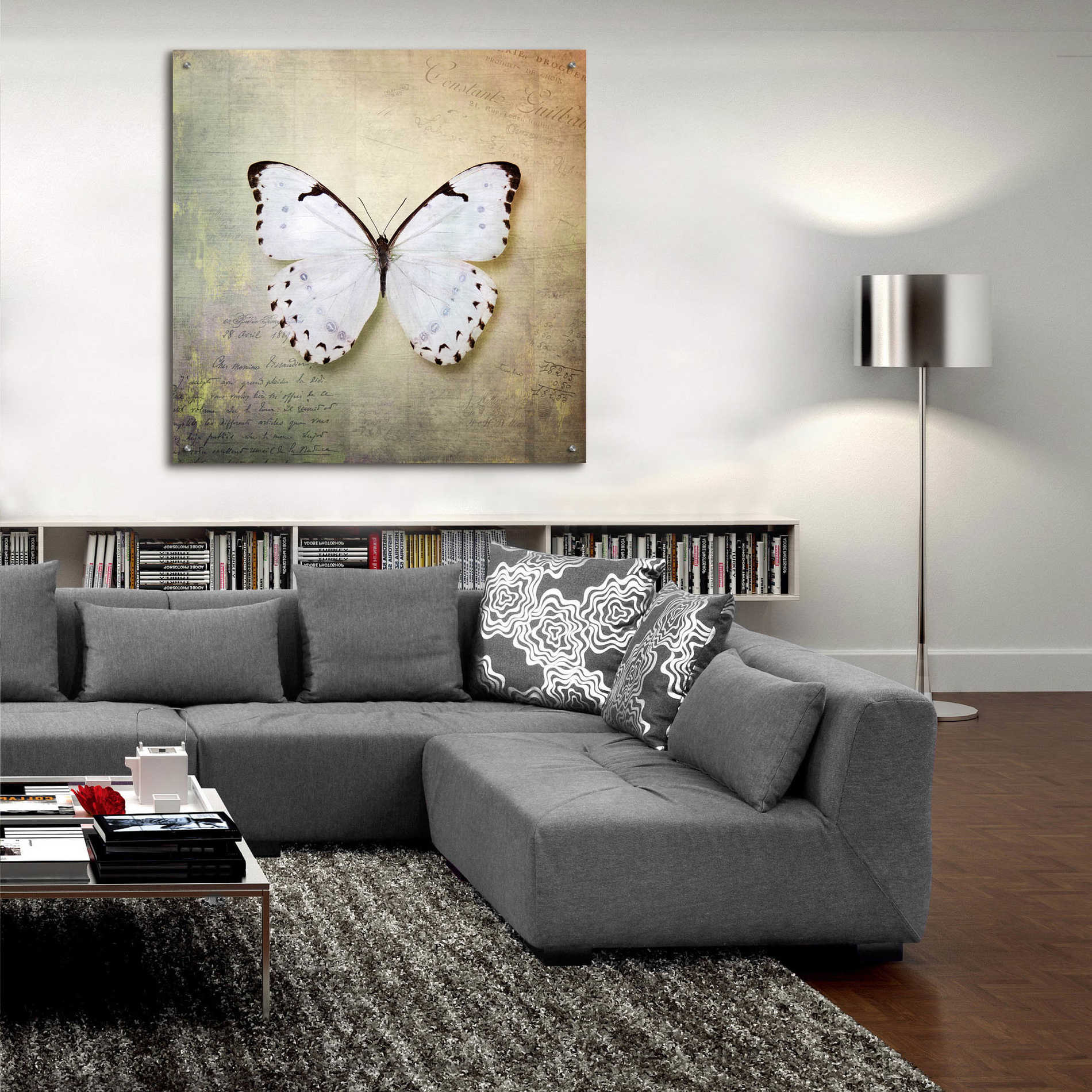 Epic Art 'French Butterfly II' by Debra Van Swearingen, Acrylic Glass Wall Art,36x36