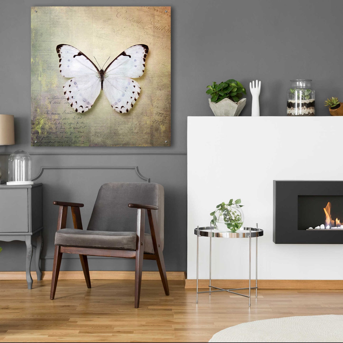 Epic Art 'French Butterfly II' by Debra Van Swearingen, Acrylic Glass Wall Art,36x36