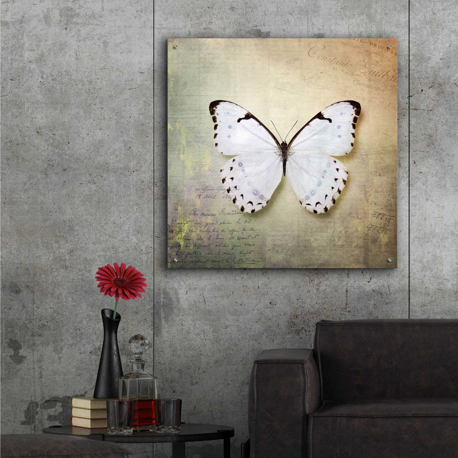 Epic Art 'French Butterfly II' by Debra Van Swearingen, Acrylic Glass Wall Art,36x36