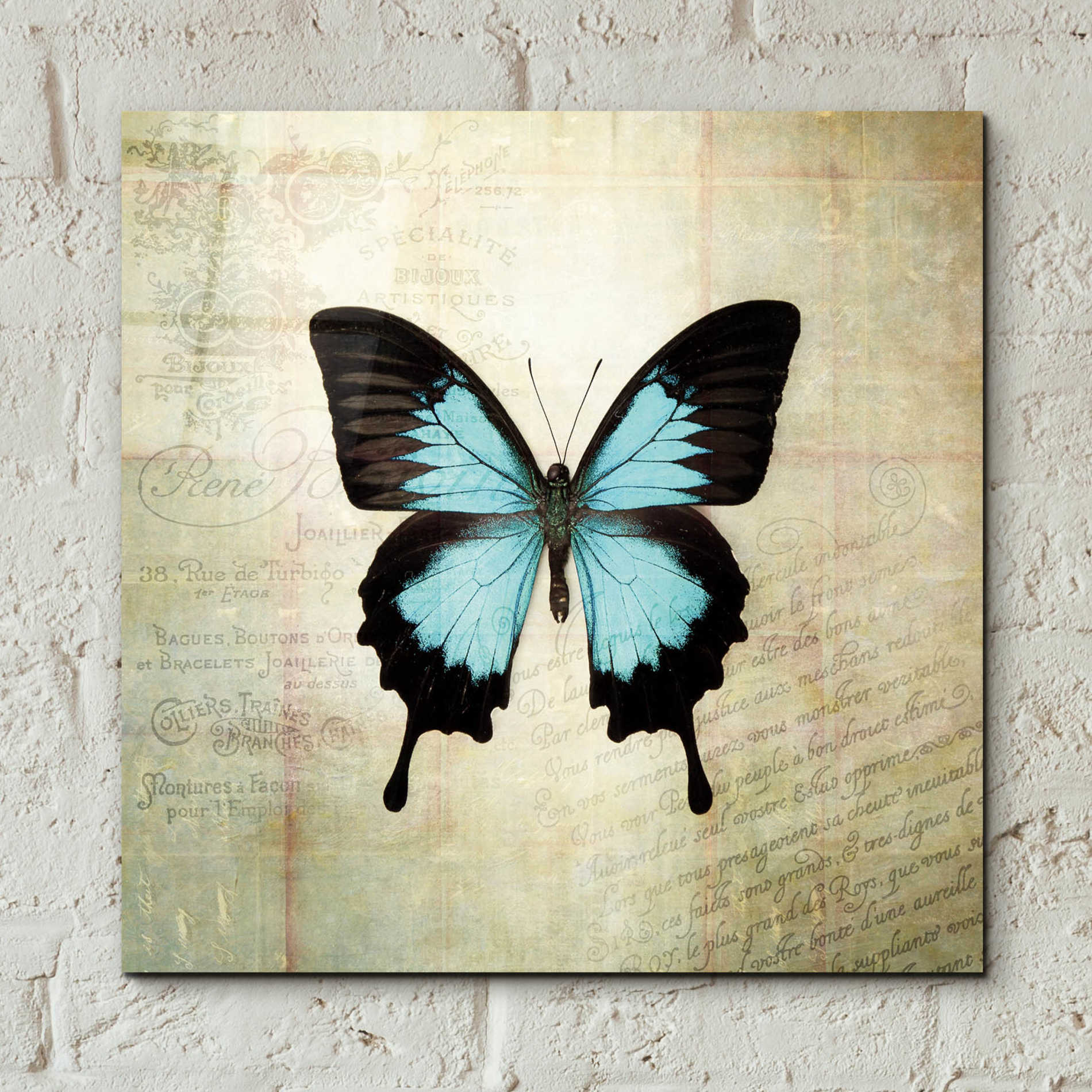 Epic Art 'French Butterfly III' by Debra Van Swearingen, Acrylic Glass Wall Art,12x12