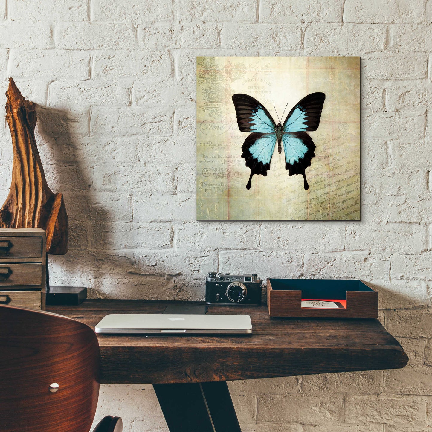 Epic Art 'French Butterfly III' by Debra Van Swearingen, Acrylic Glass Wall Art,12x12