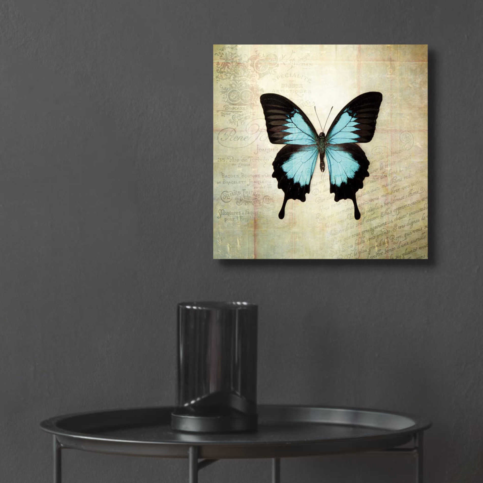 Epic Art 'French Butterfly III' by Debra Van Swearingen, Acrylic Glass Wall Art,12x12