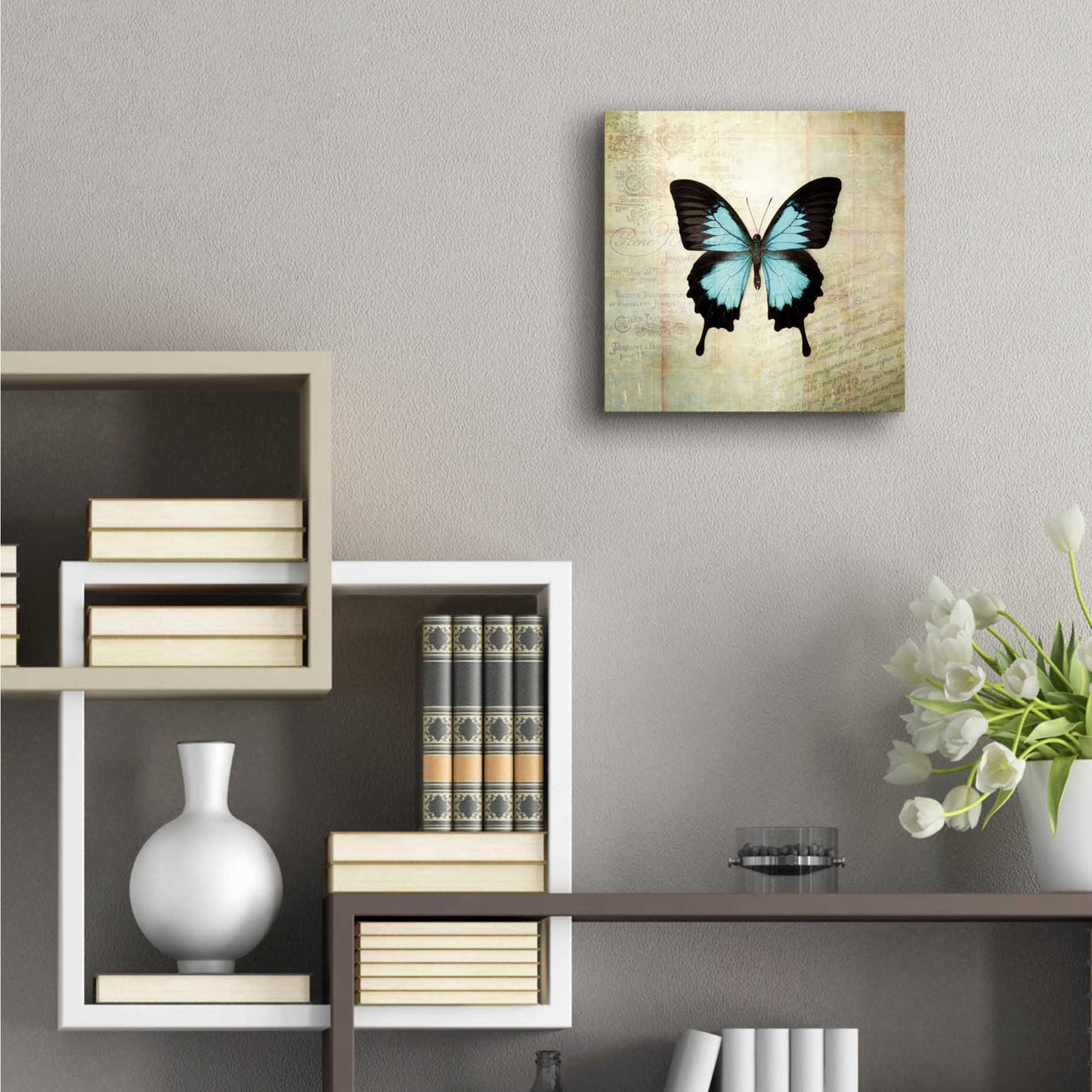 Epic Art 'French Butterfly III' by Debra Van Swearingen, Acrylic Glass Wall Art,12x12