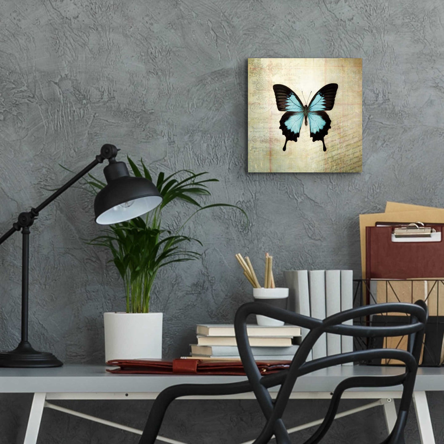 Epic Art 'French Butterfly III' by Debra Van Swearingen, Acrylic Glass Wall Art,12x12