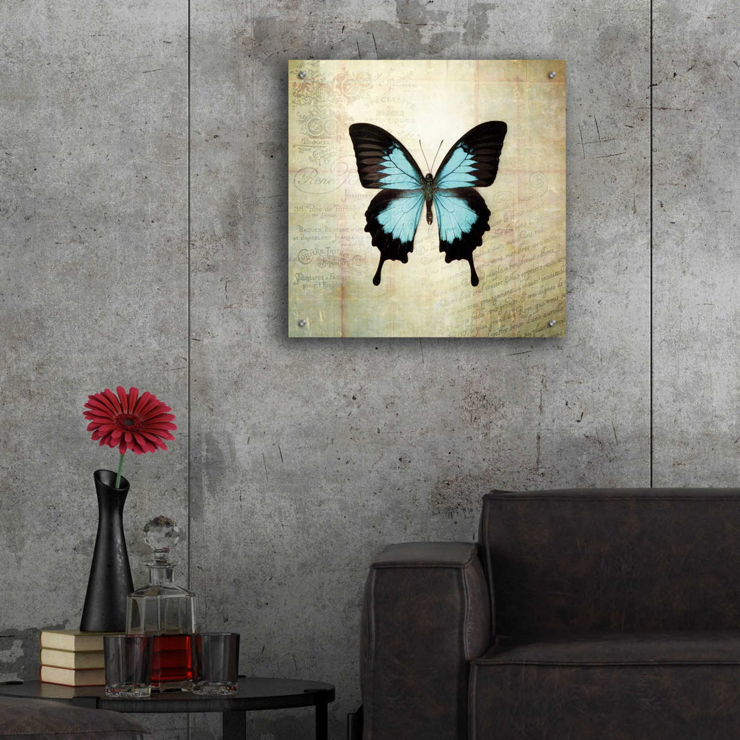 Epic Art 'French Butterfly III' by Debra Van Swearingen, Acrylic Glass Wall Art,24x24