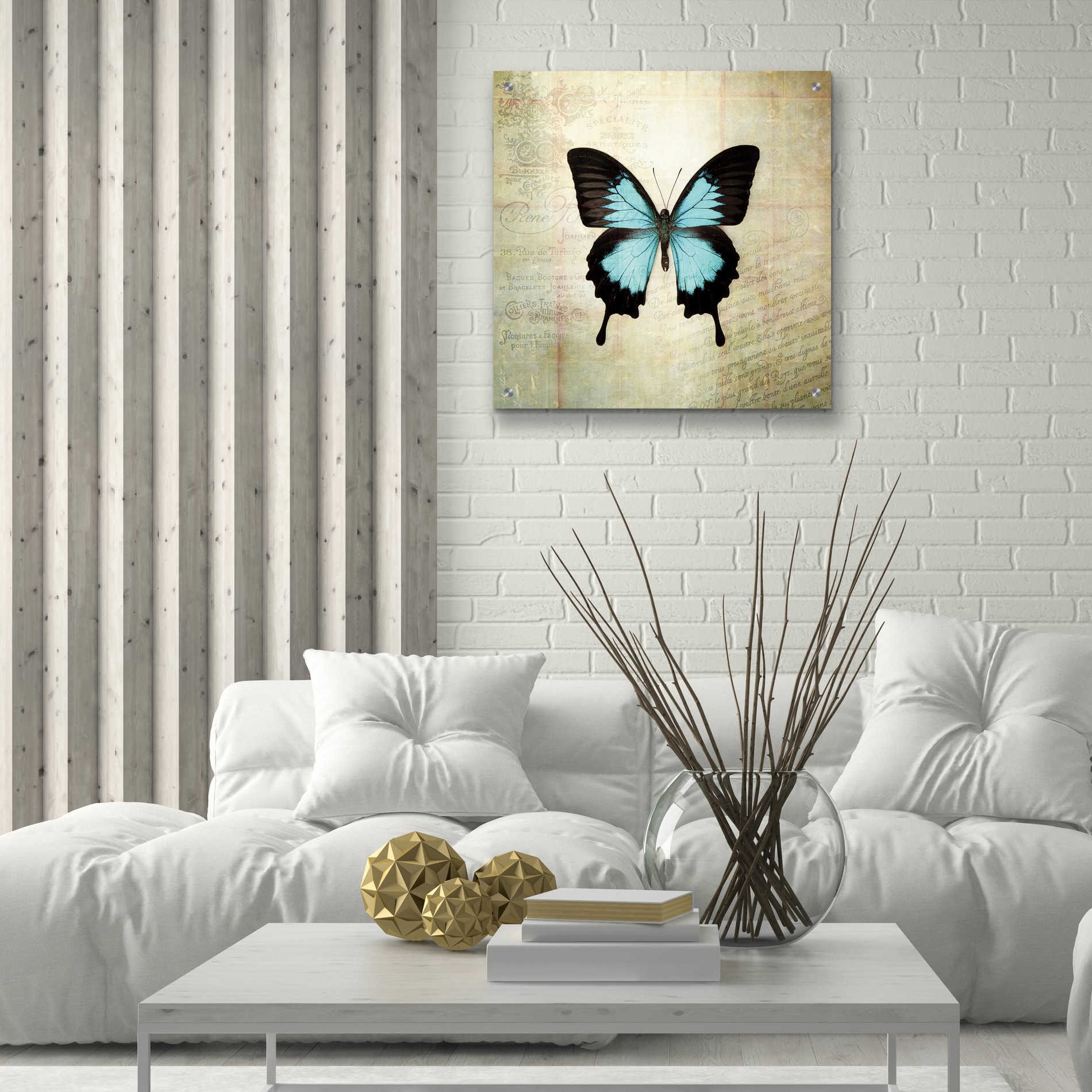 Epic Art 'French Butterfly III' by Debra Van Swearingen, Acrylic Glass Wall Art,24x24