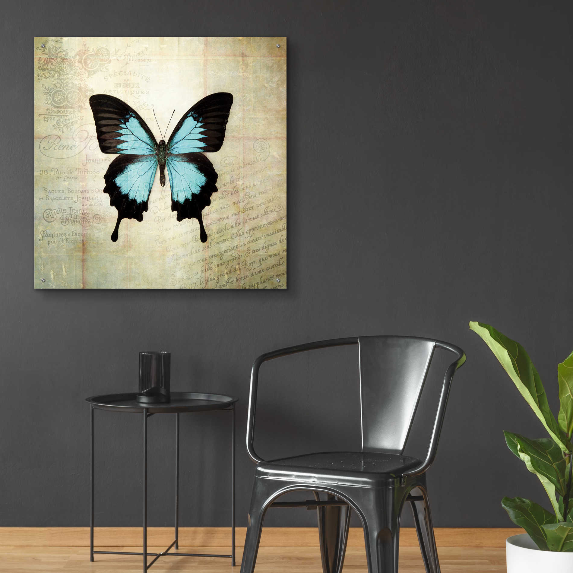 Epic Art 'French Butterfly III' by Debra Van Swearingen, Acrylic Glass Wall Art,36x36