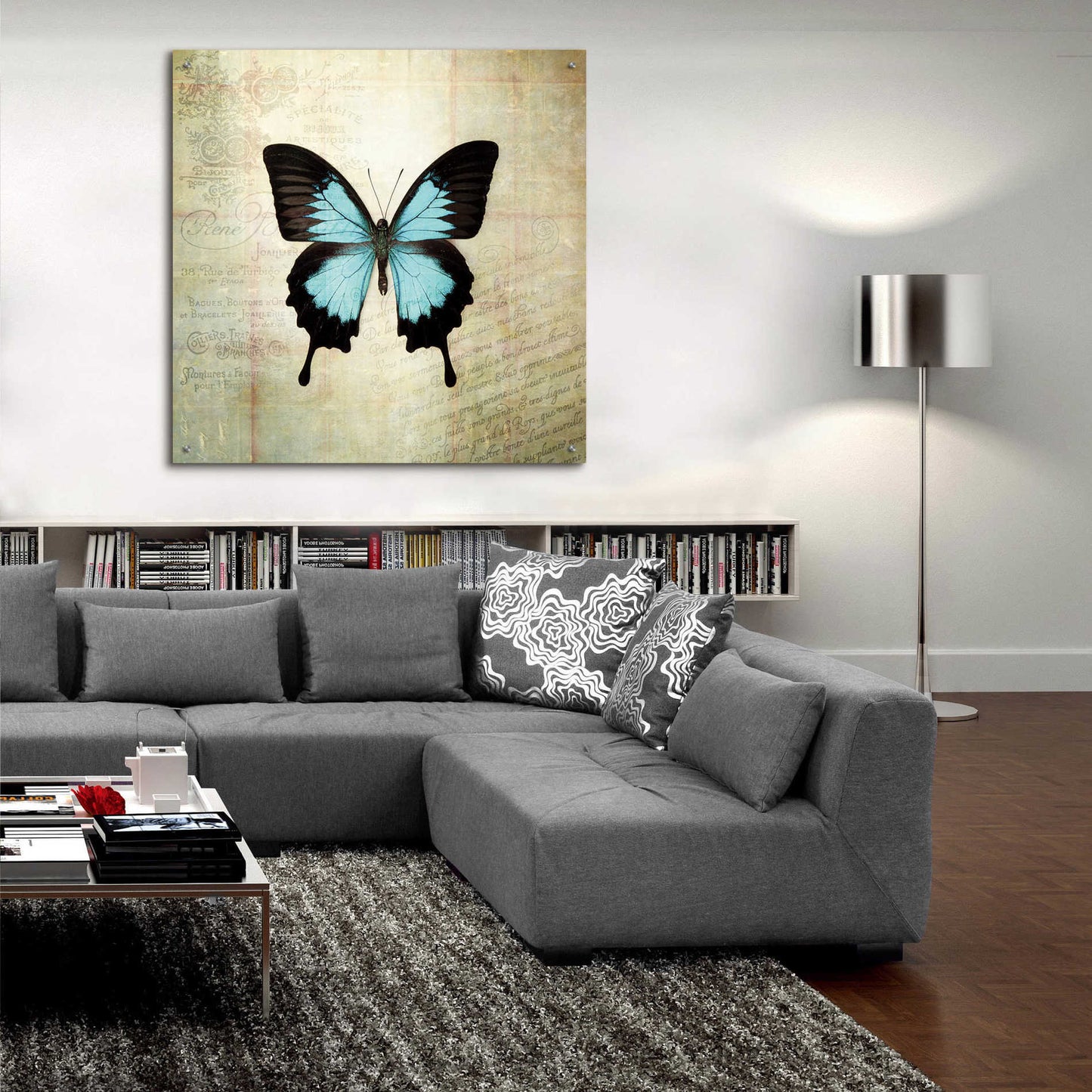 Epic Art 'French Butterfly III' by Debra Van Swearingen, Acrylic Glass Wall Art,36x36