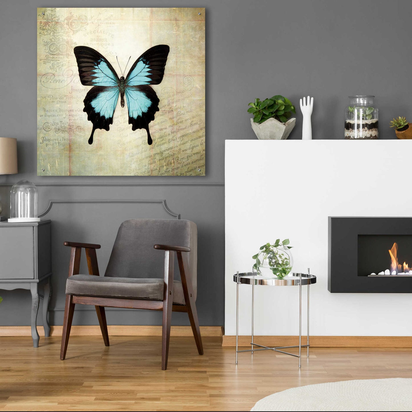 Epic Art 'French Butterfly III' by Debra Van Swearingen, Acrylic Glass Wall Art,36x36