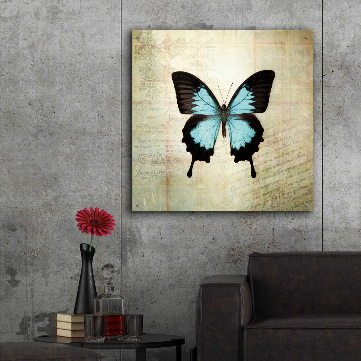 Epic Art 'French Butterfly III' by Debra Van Swearingen, Acrylic Glass Wall Art,36x36